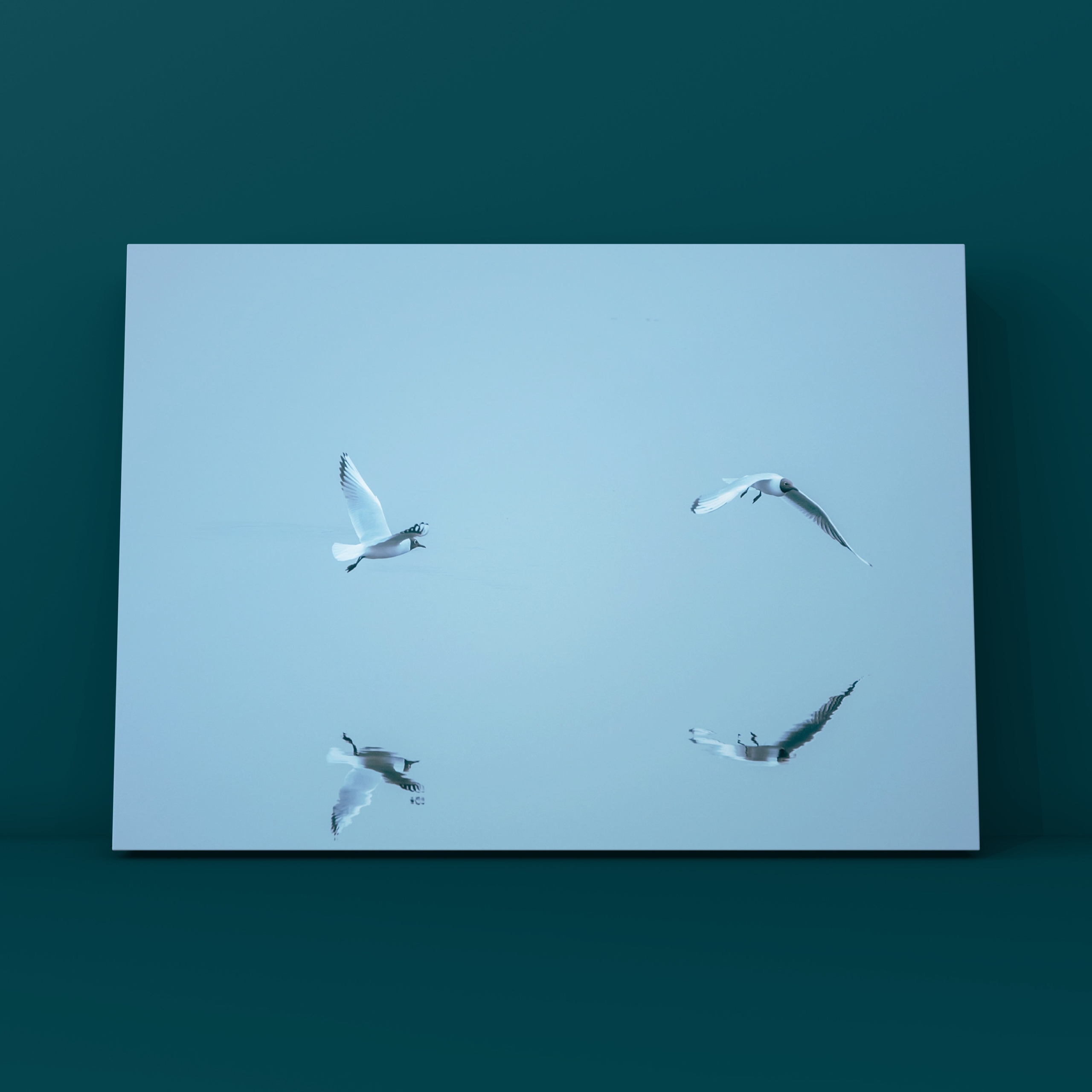 Природа и пейзаж. Фотограф в Москве Сергей Коршунов