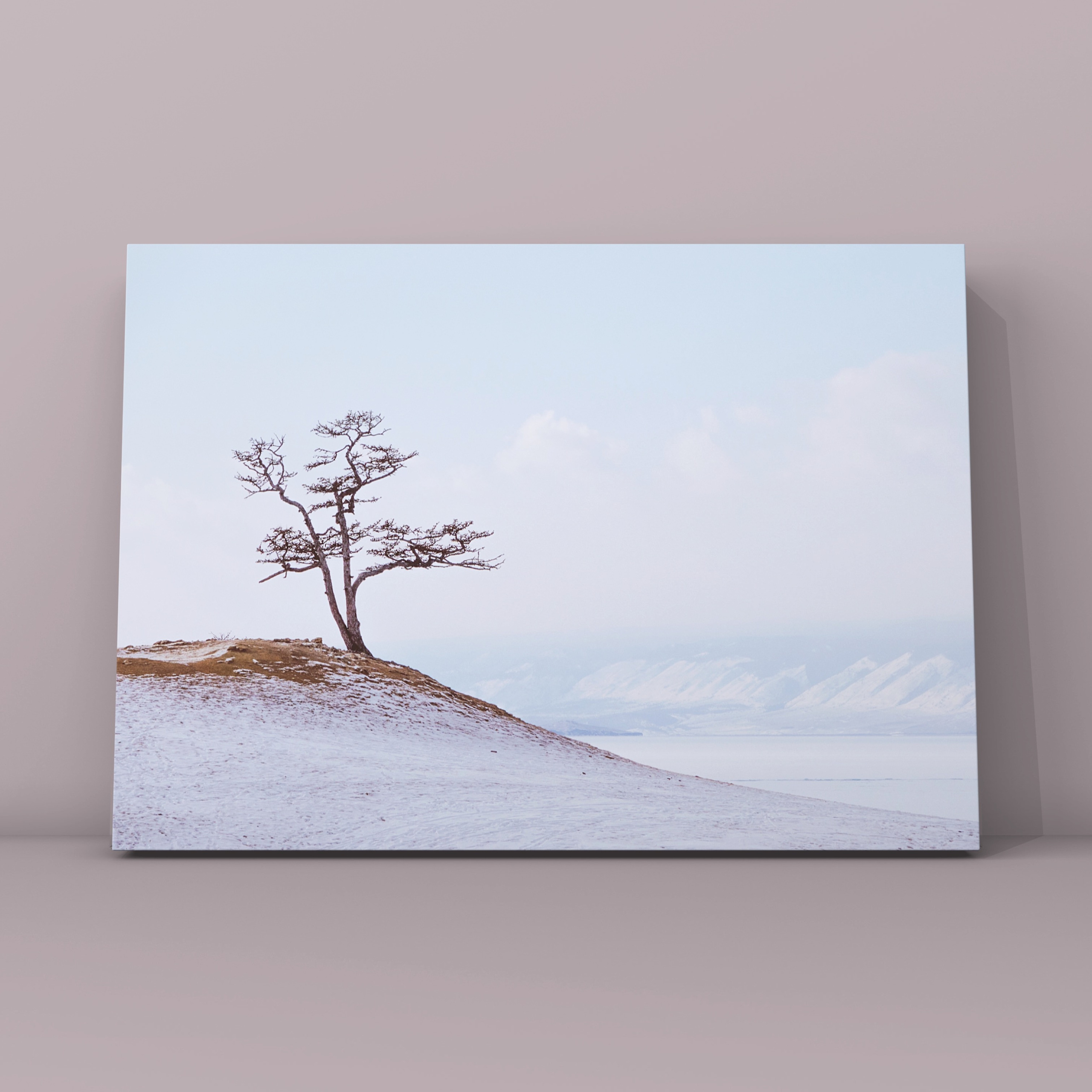 Дерево Ольхон Байкал день. Фотограф в Москве Сергей Коршунов