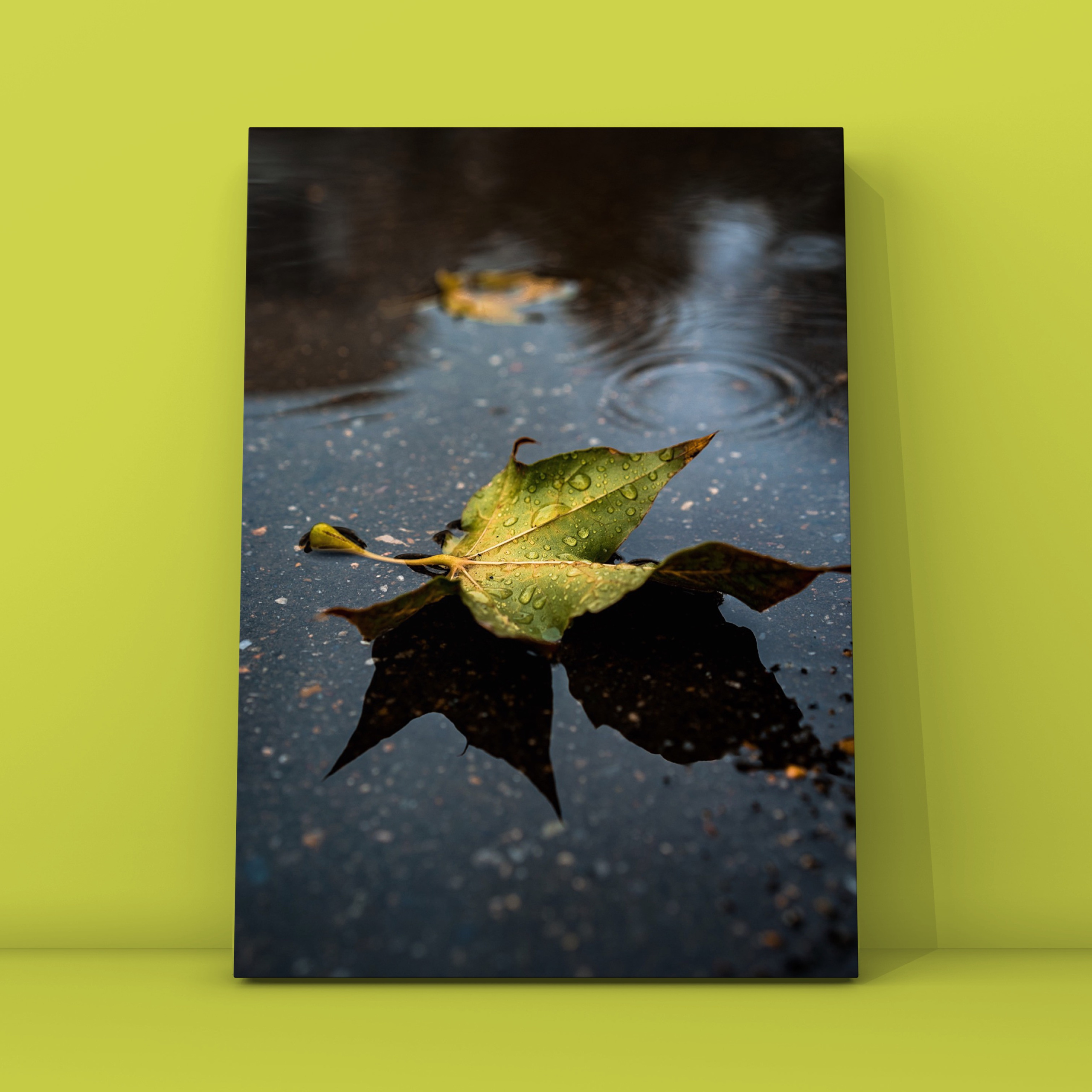 Осенний лист в луже. Фотограф в Москве Сергей Коршунов