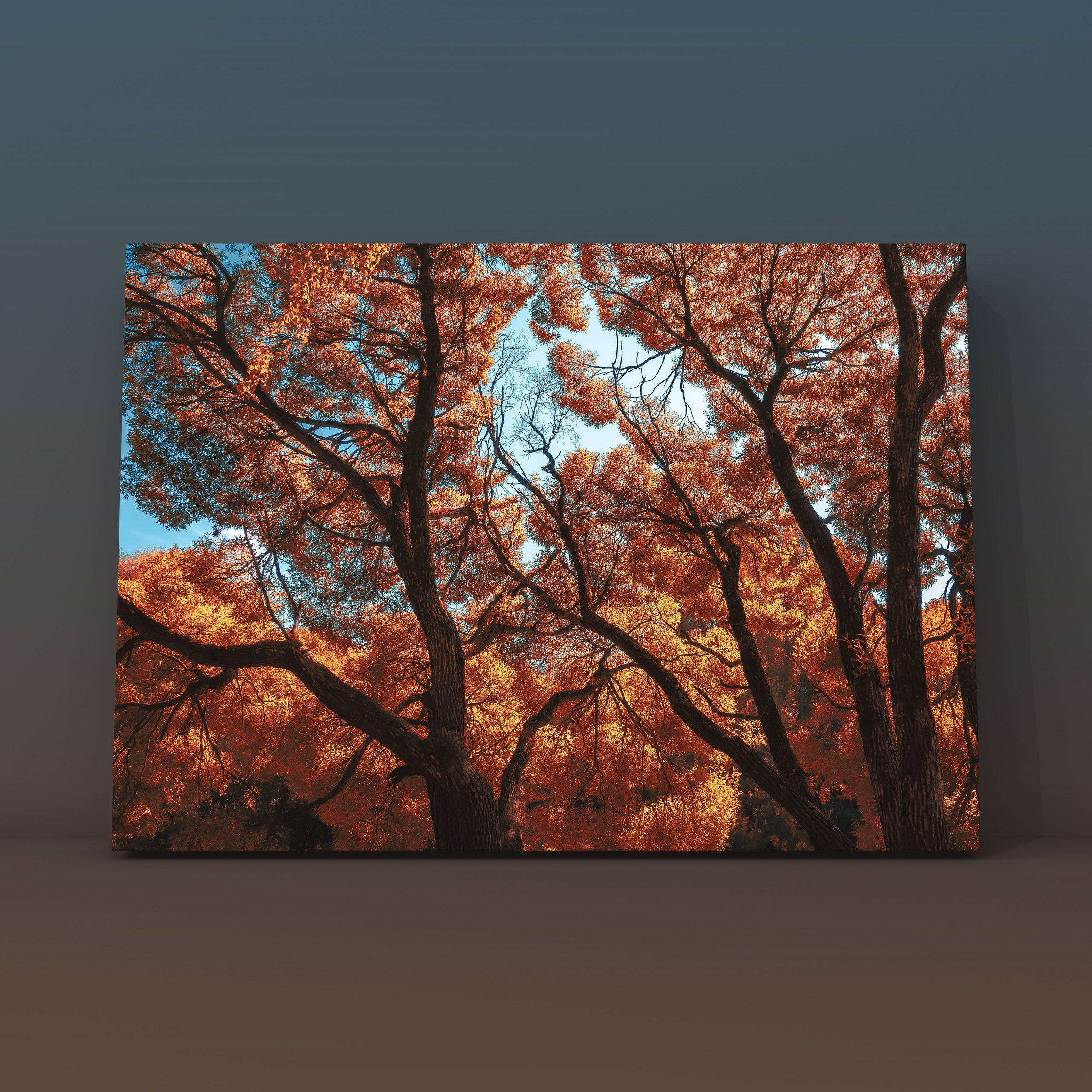 Ивы ВДНХ 1. Фотограф в Москве Сергей Коршунов