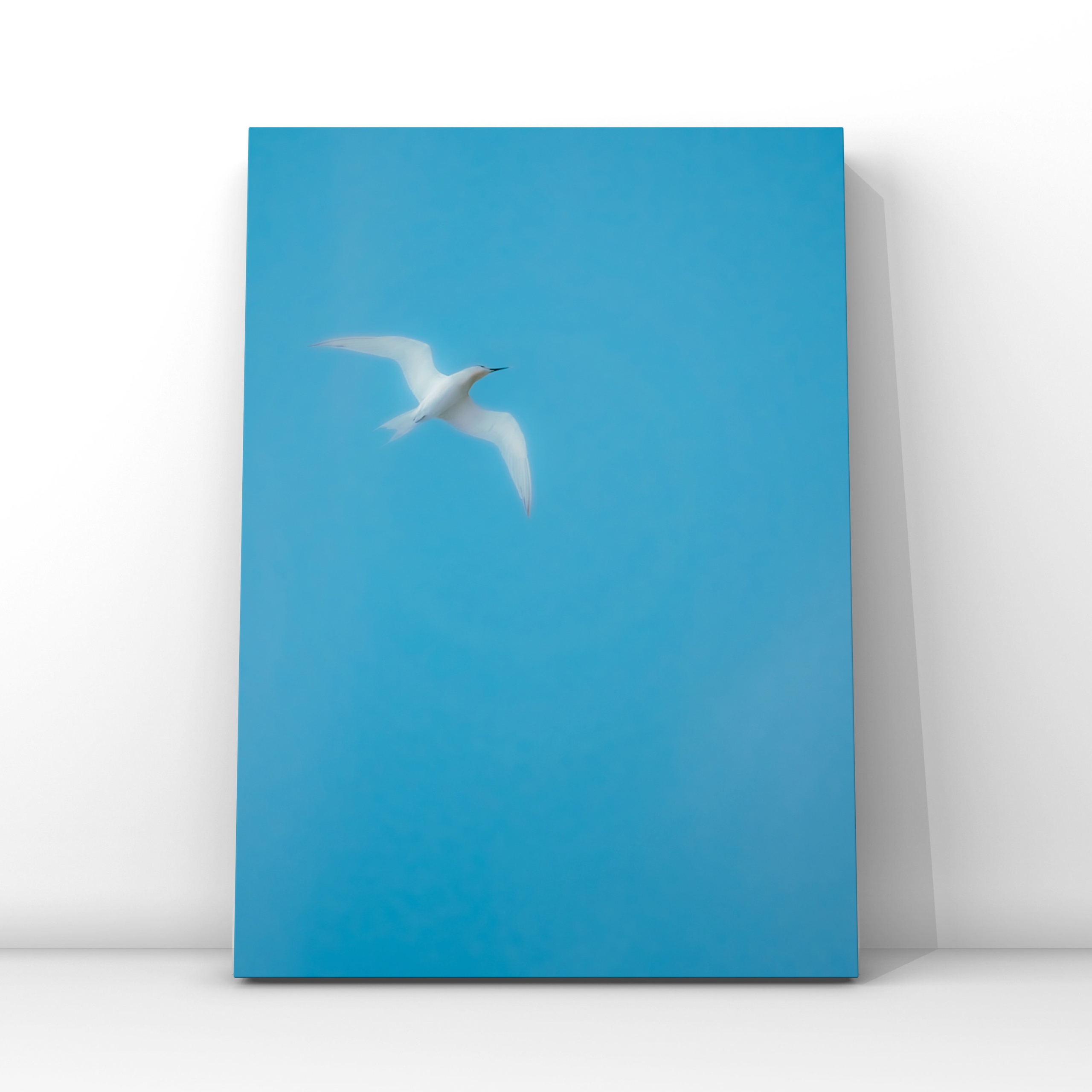 Природа и пейзаж. Фотограф в Москве Сергей Коршунов