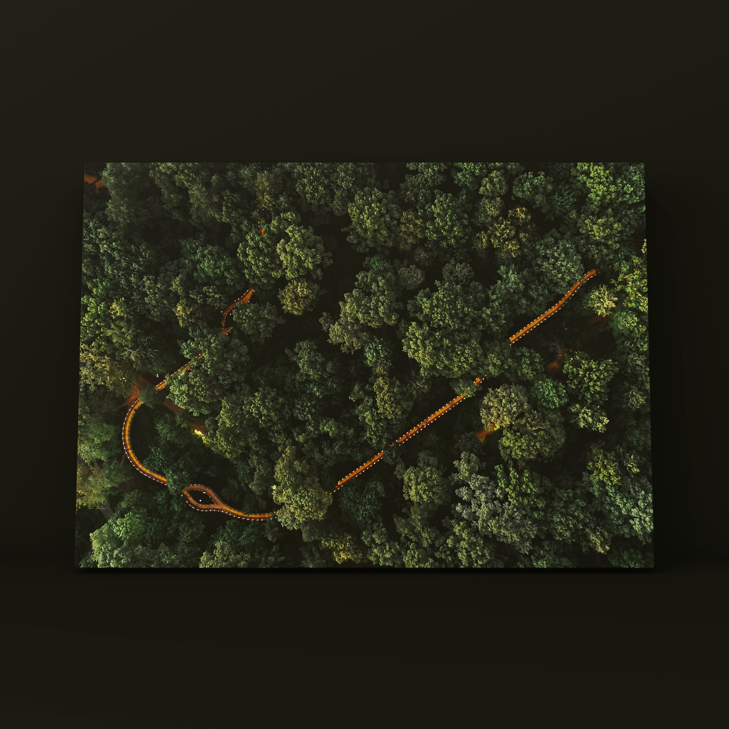 Эко тропа ВДНХ. Фотограф в Москве Сергей Коршунов