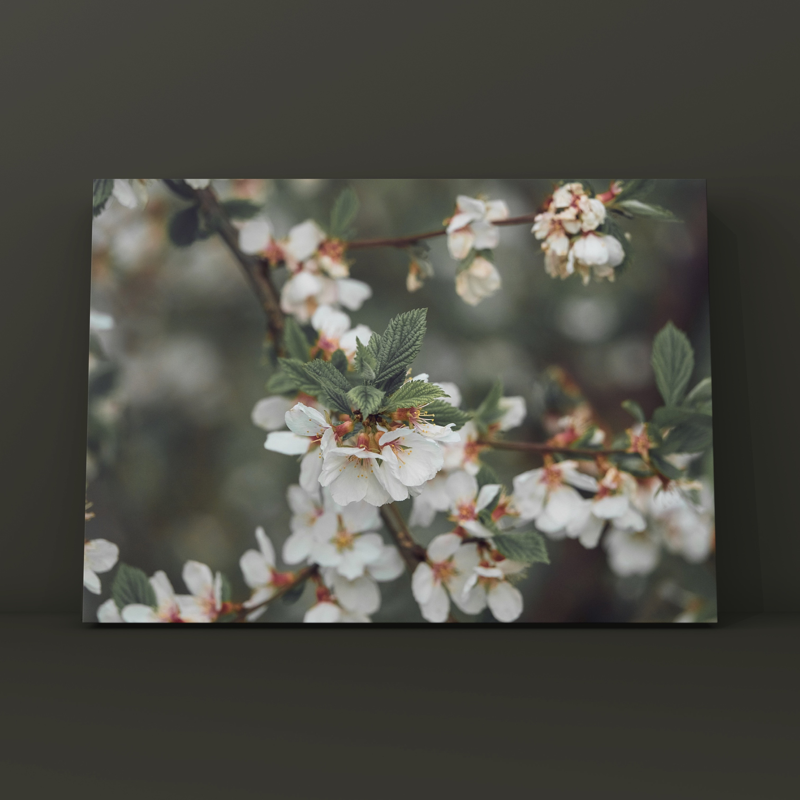 Цветение серебряный бор. Фотограф в Москве Сергей Коршунов