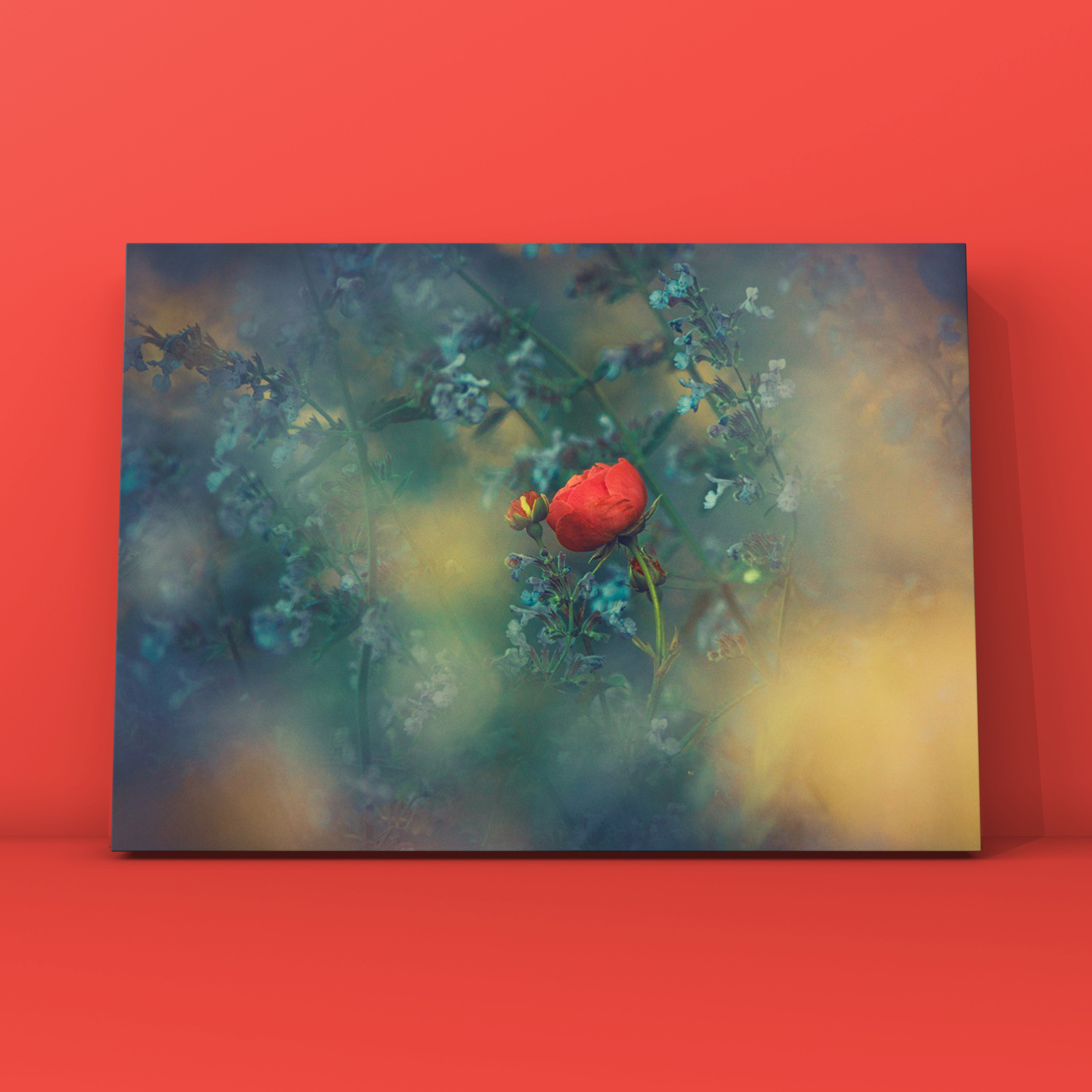 Природа и пейзаж. Фотограф в Москве Сергей Коршунов