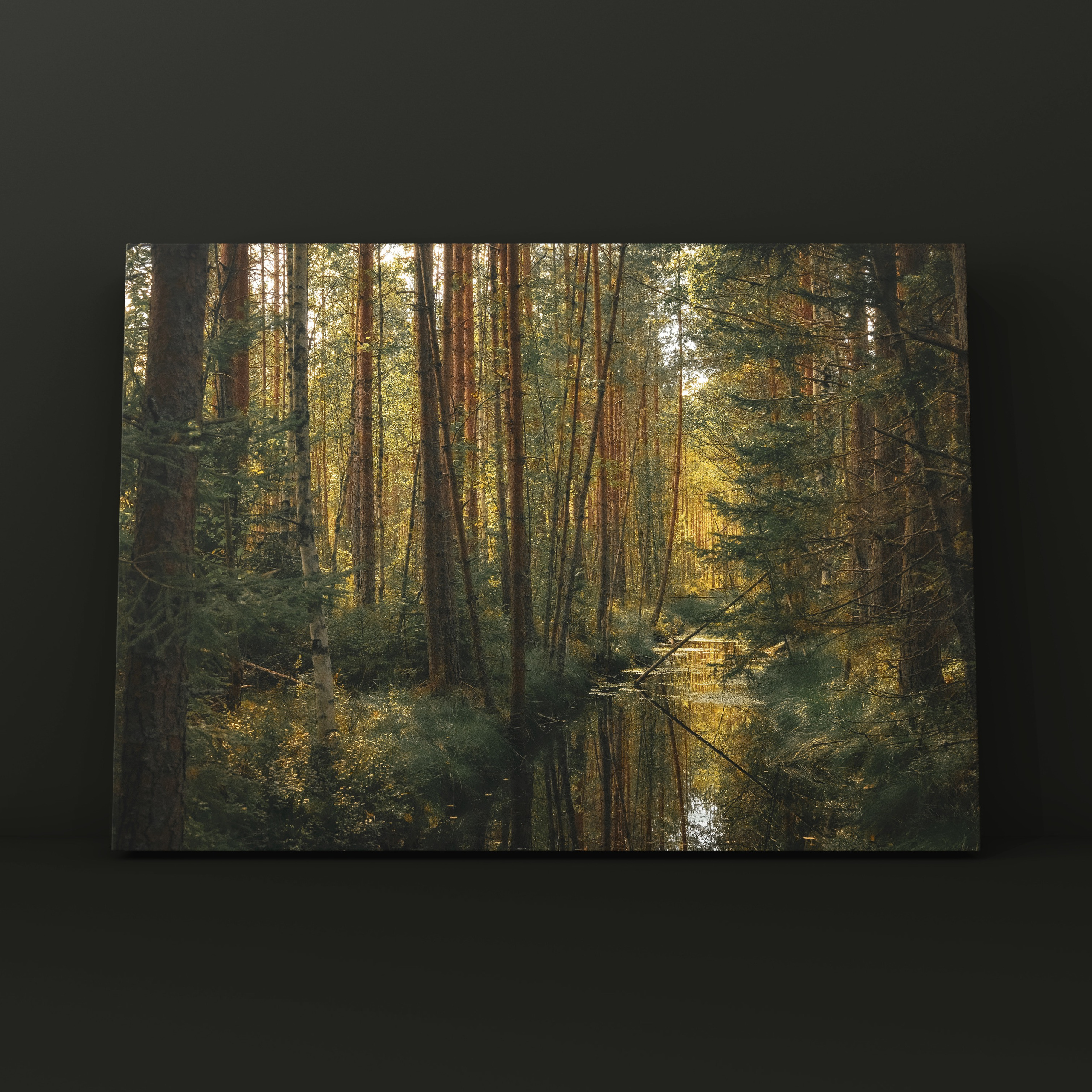 Природа и пейзаж. Фотограф в Москве Сергей Коршунов