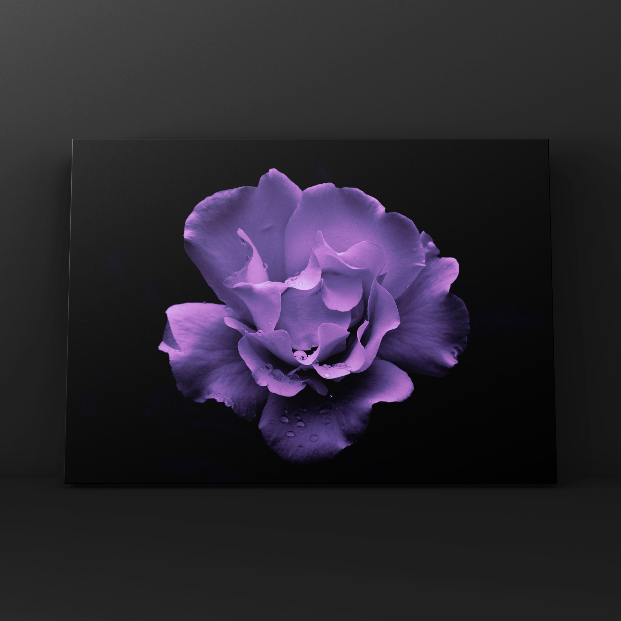 Природа и пейзаж. Фотограф в Москве Сергей Коршунов