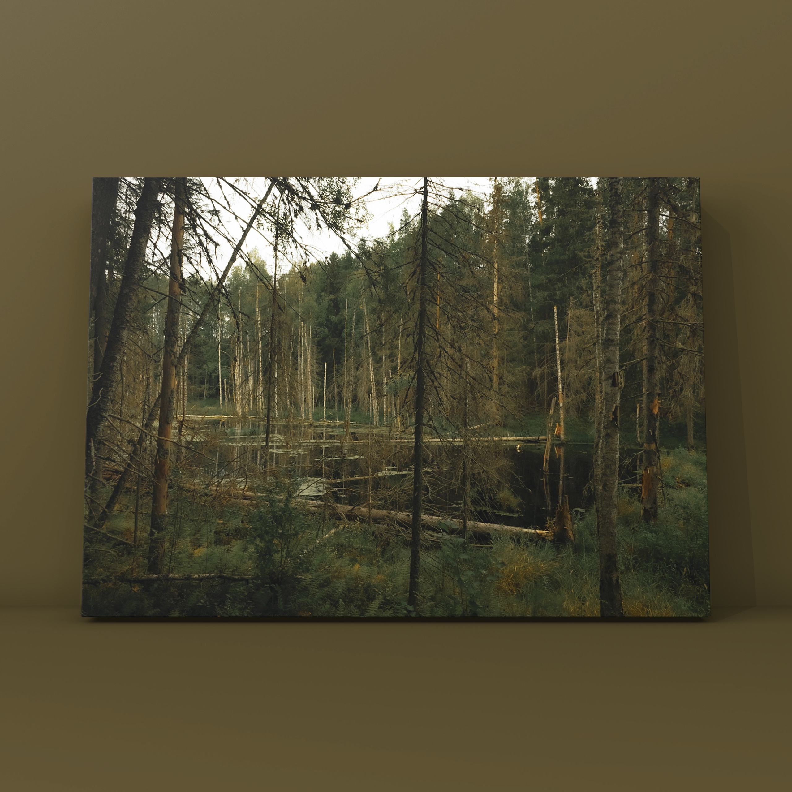 Природа и пейзаж. Фотограф в Москве Сергей Коршунов