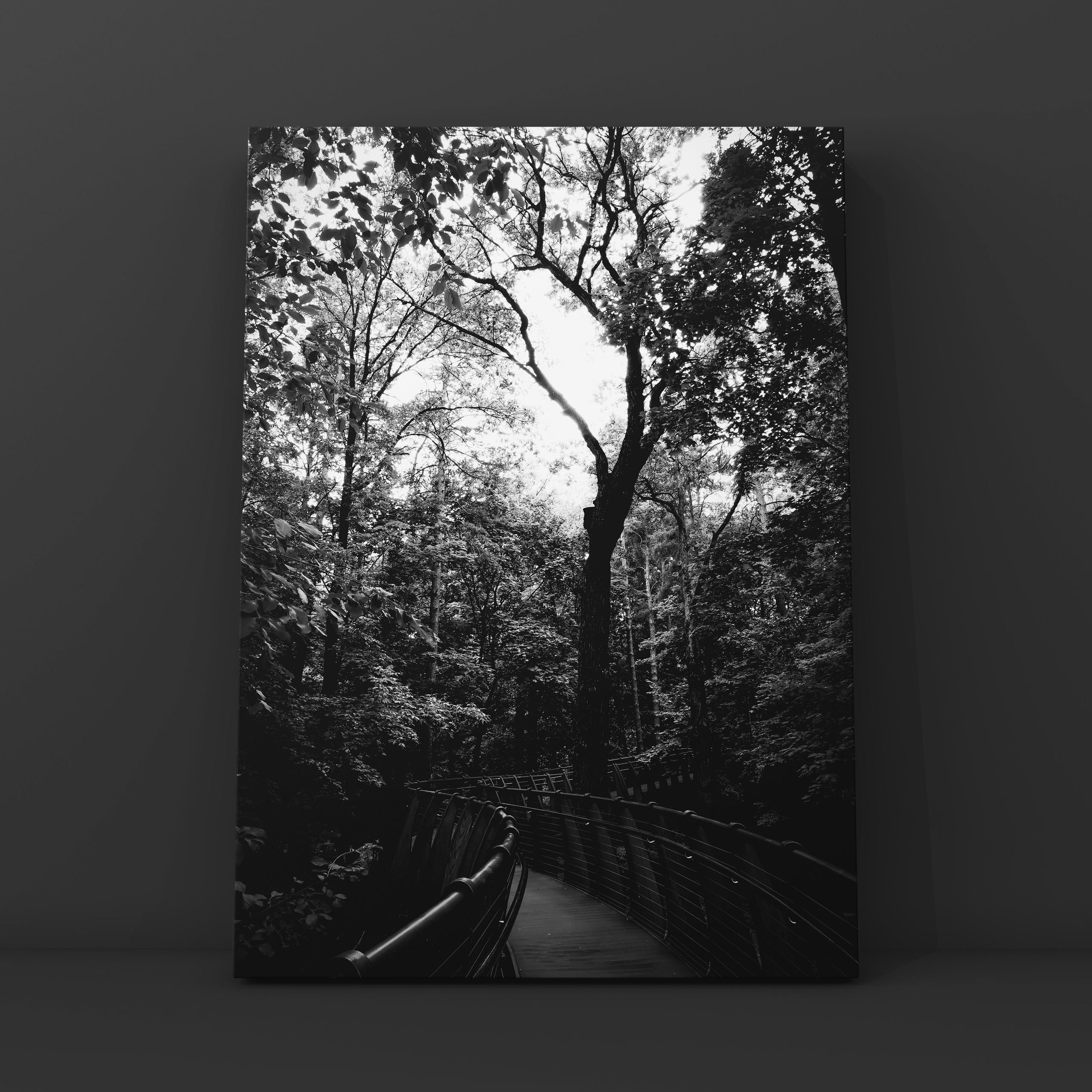 Природа и пейзаж. Фотограф в Москве Сергей Коршунов