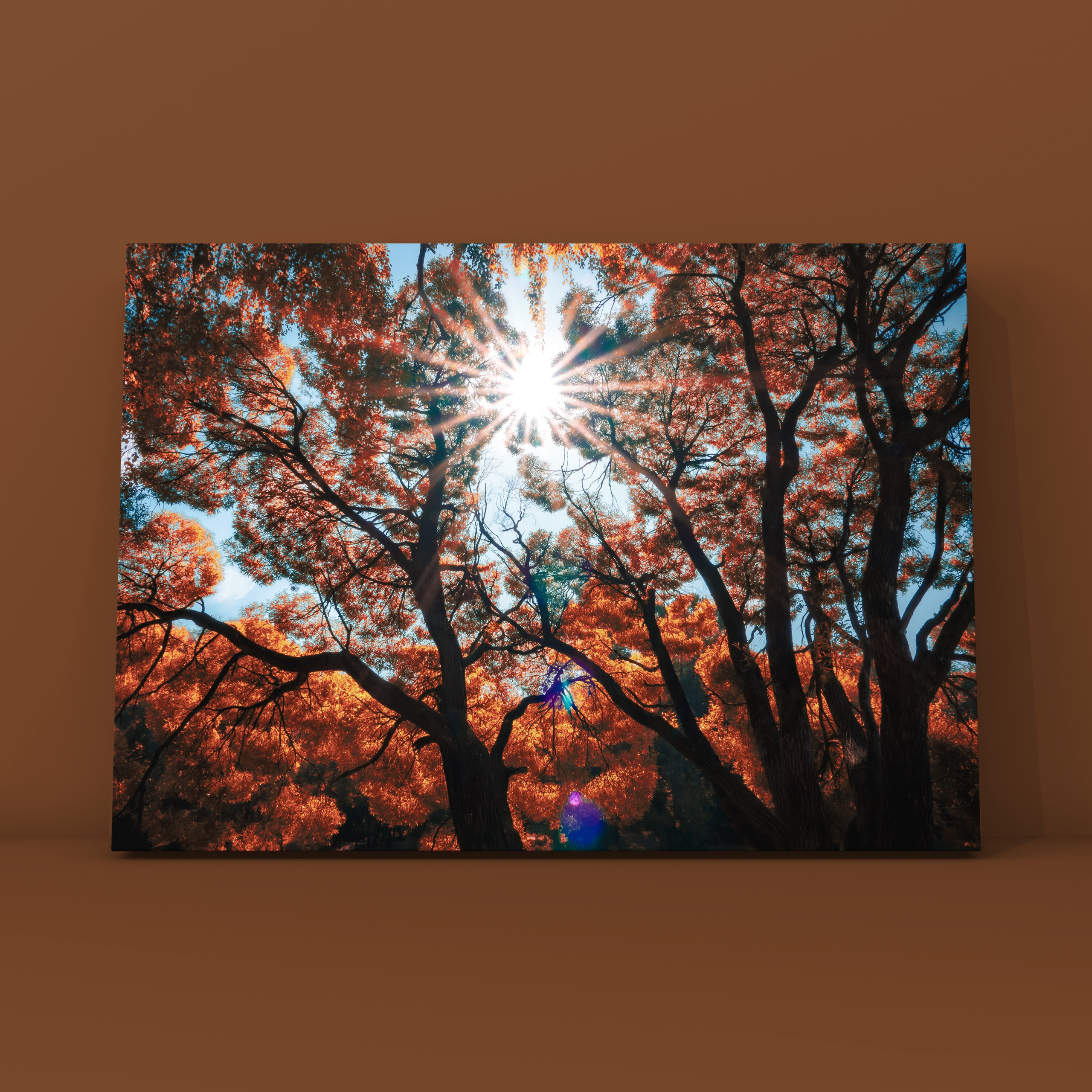 Природа и пейзаж. Фотограф в Москве Сергей Коршунов