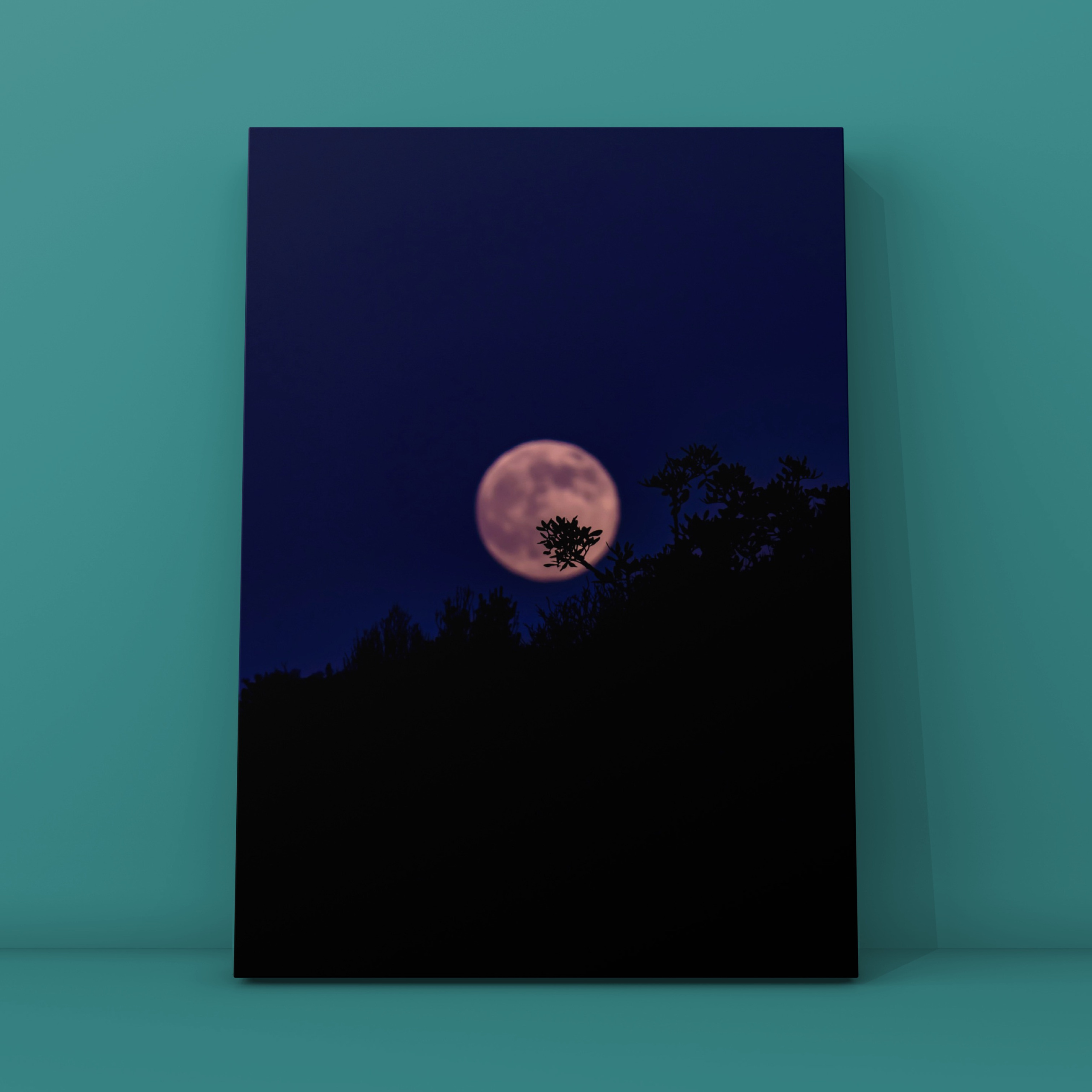 Природа и пейзаж. Фотограф в Москве Сергей Коршунов