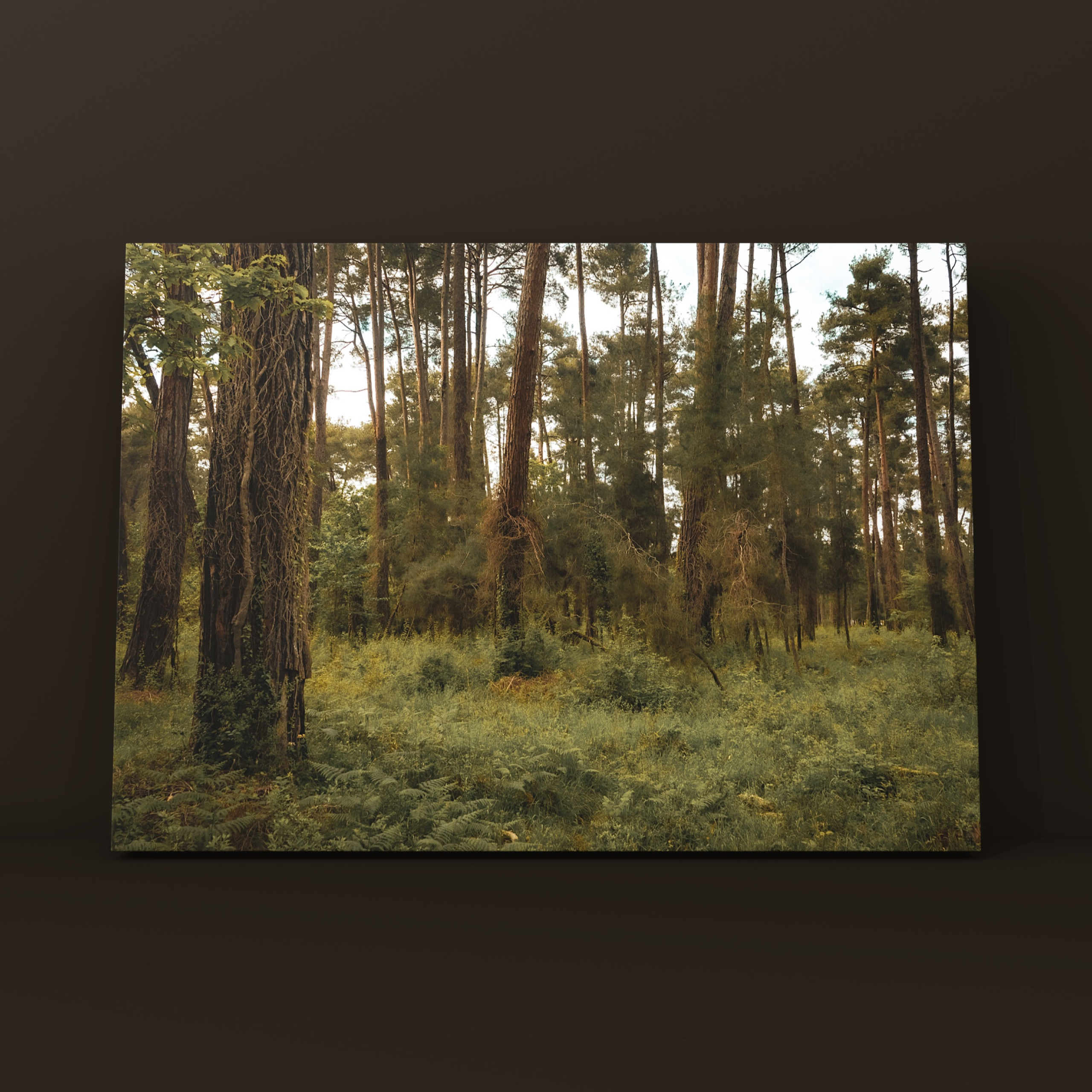 Природа и пейзаж. Фотограф в Москве Сергей Коршунов