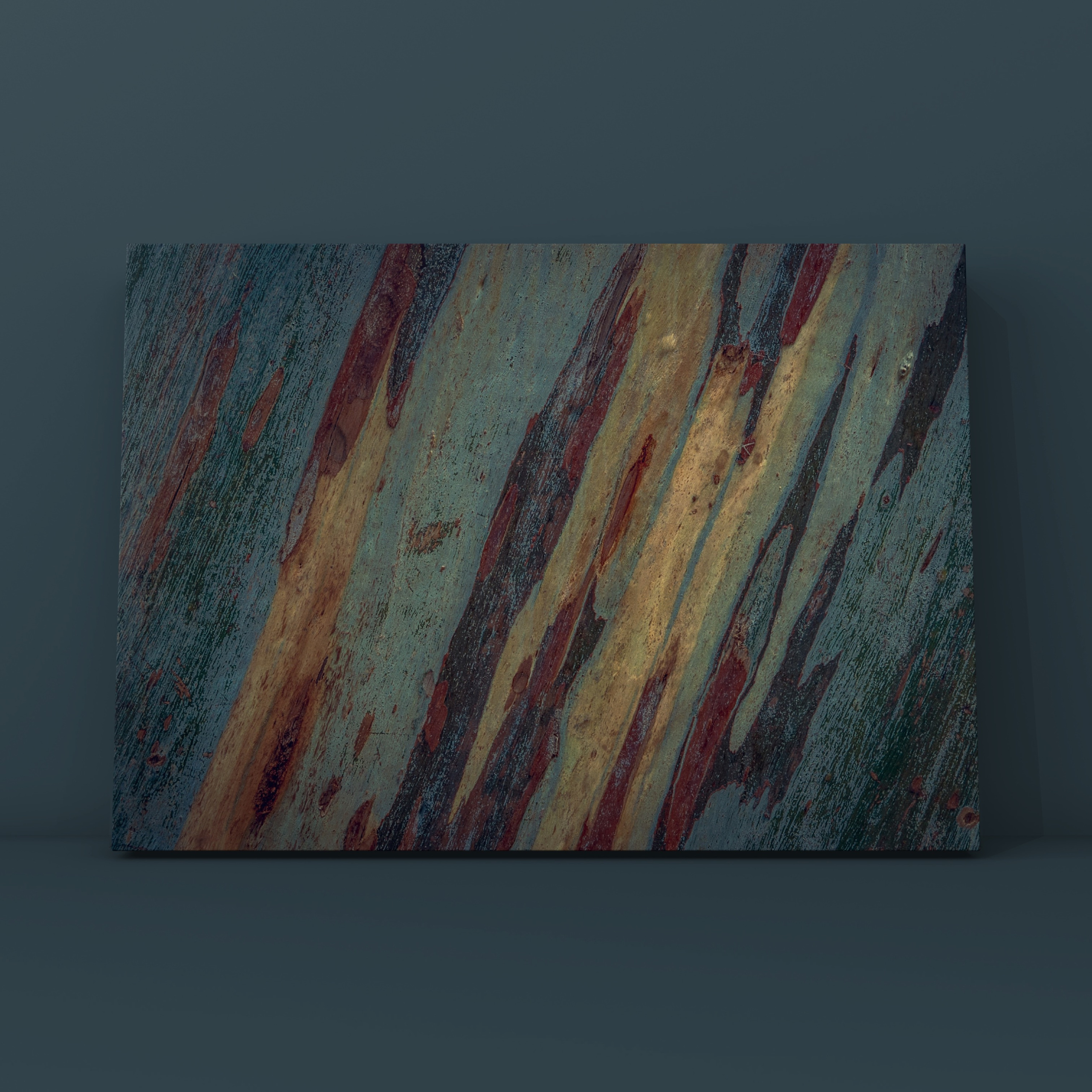 Ствол эвкалипта 9. Фотограф в Москве Сергей Коршунов