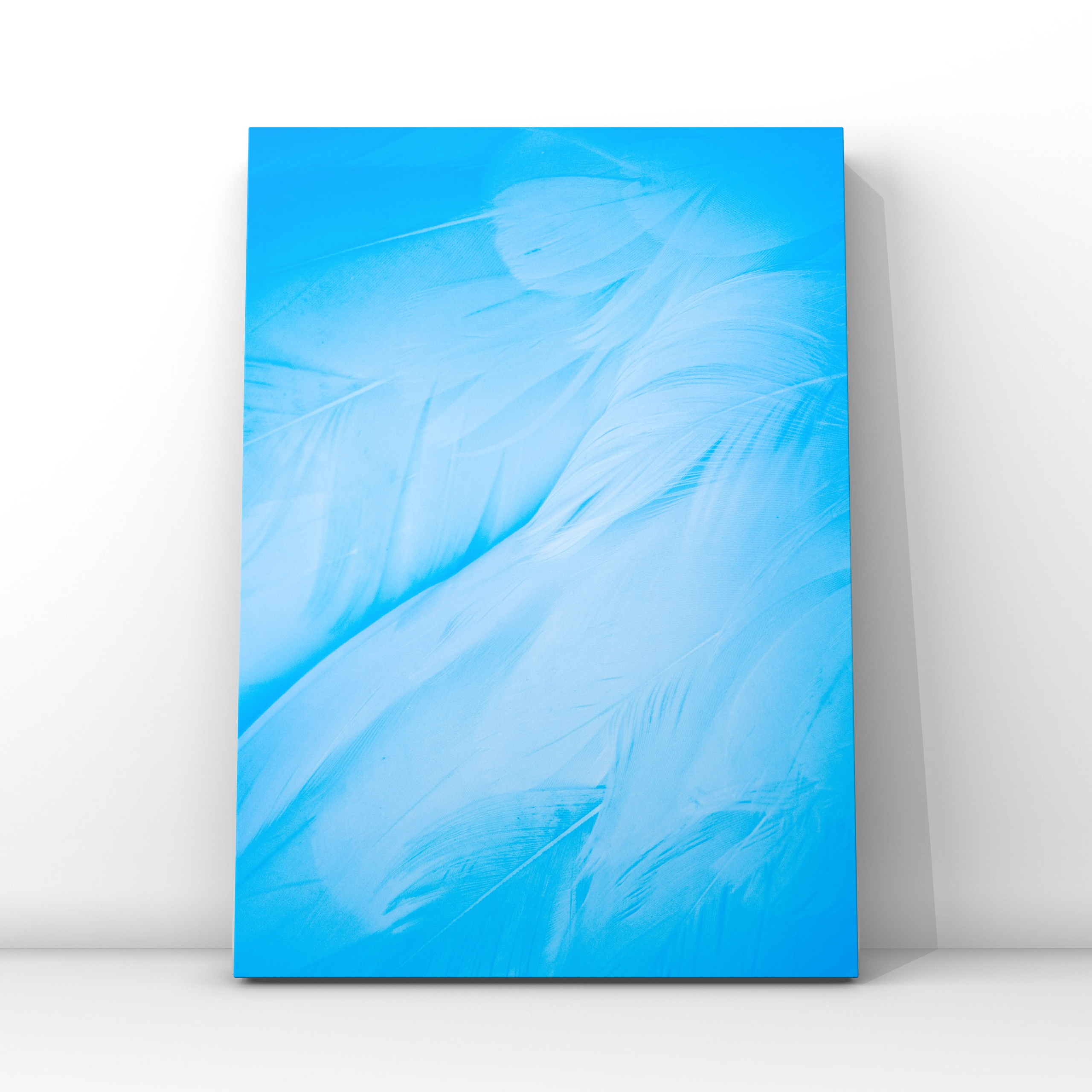 Перья 7. Фотограф в Москве Сергей Коршунов