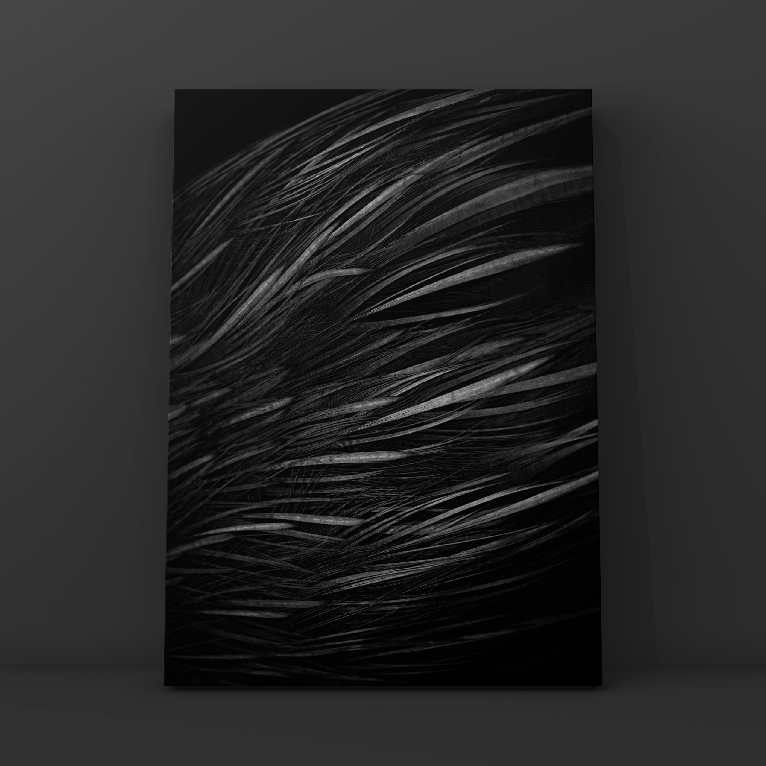 Перья 1. Фотограф в Москве Сергей Коршунов