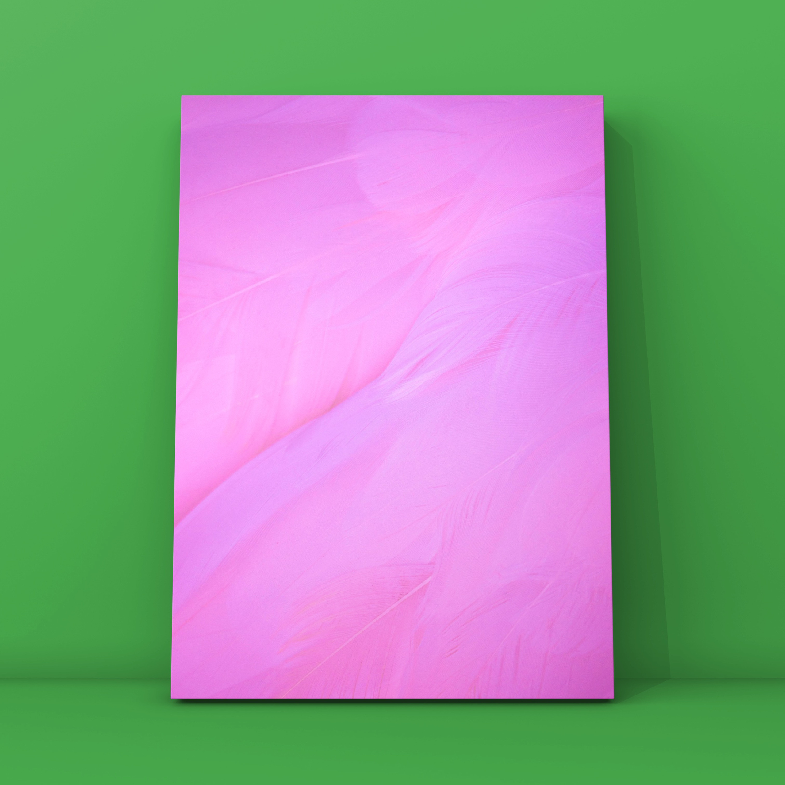 Перья 2. Фотограф в Москве Сергей Коршунов