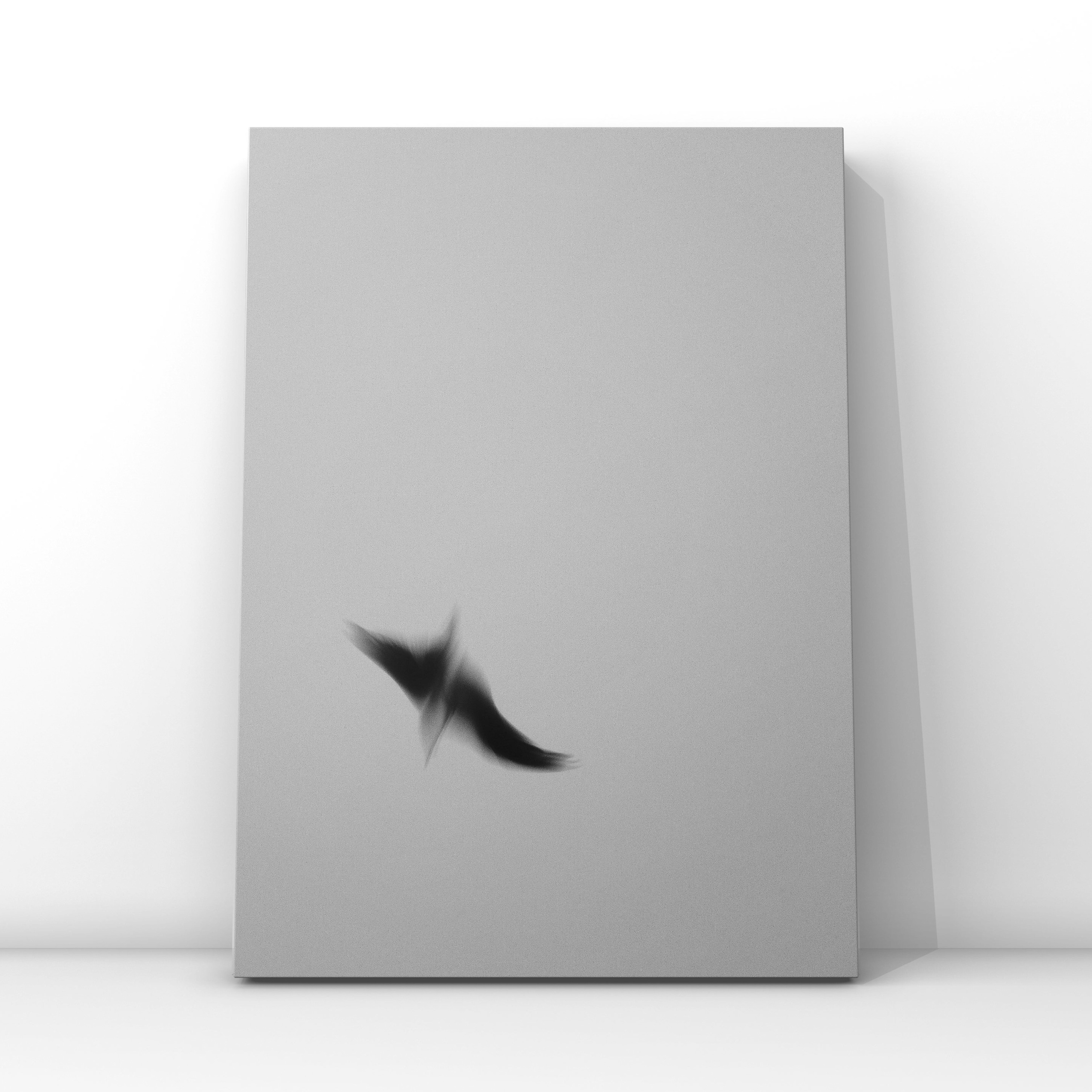 Птицы ВДНХ 5. Фотограф в Москве Сергей Коршунов