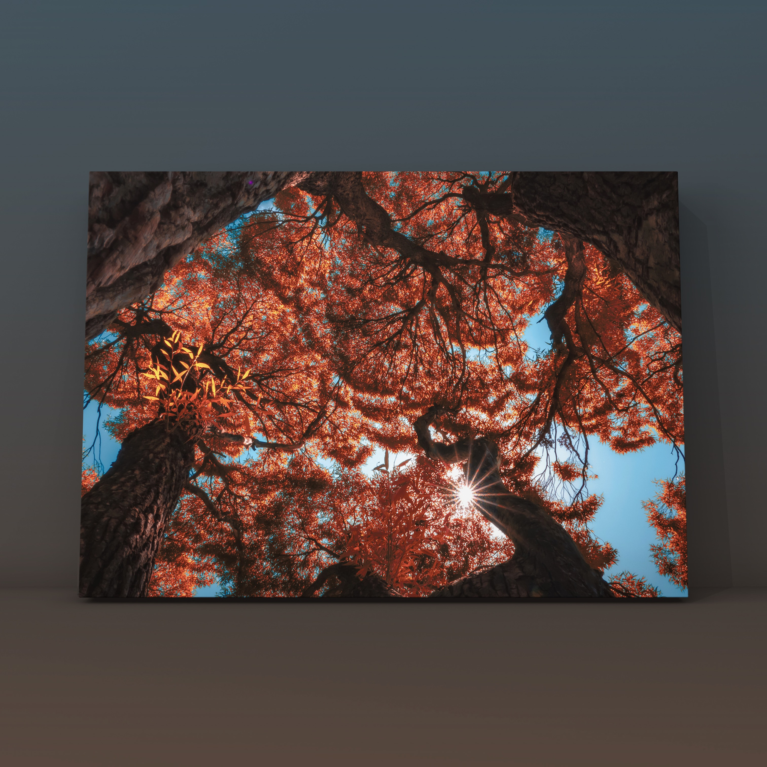 Природа и пейзаж. Фотограф в Москве Сергей Коршунов