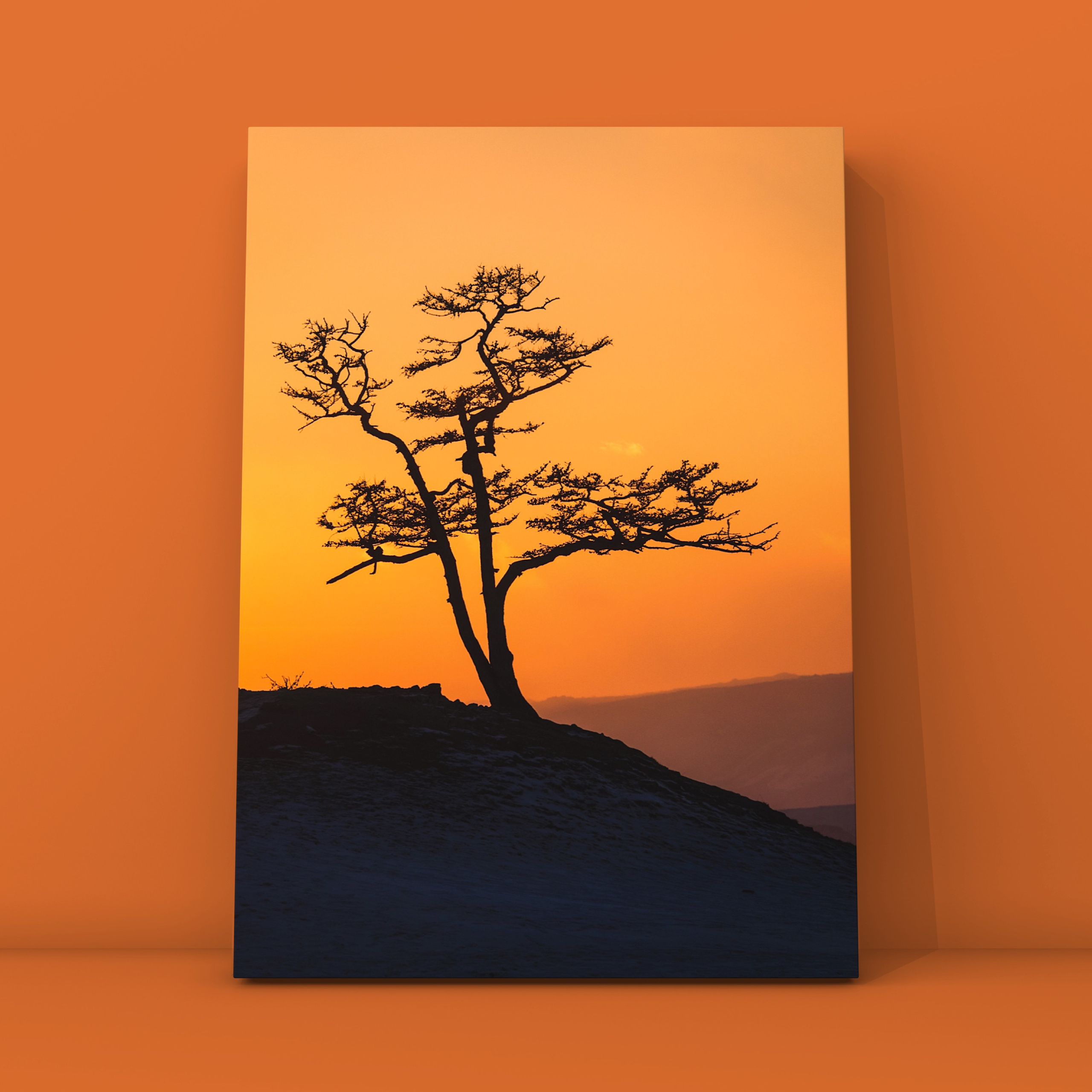 Природа и пейзаж. Фотограф в Москве Сергей Коршунов