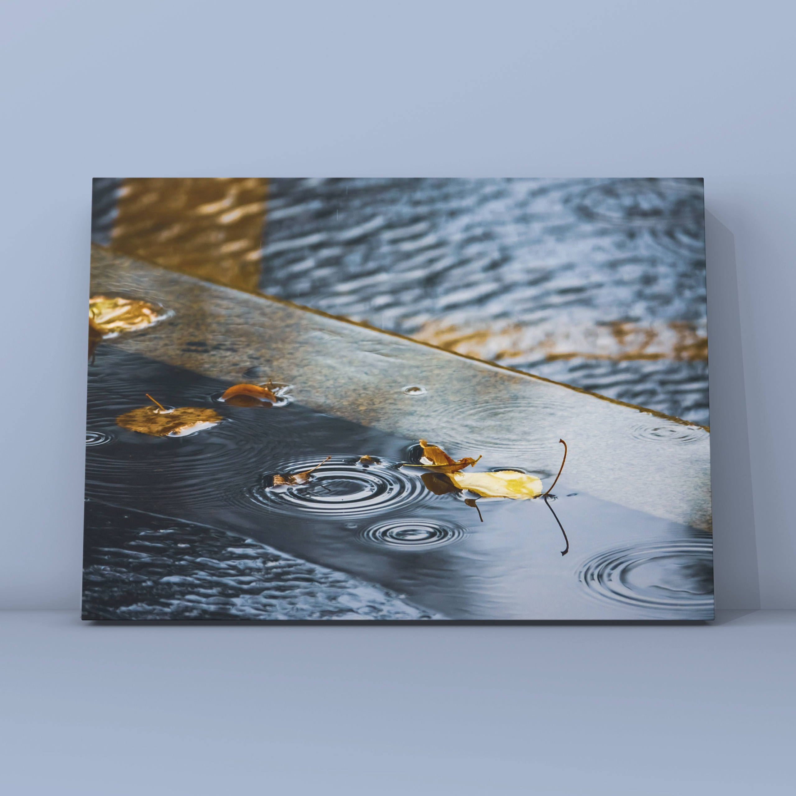 Природа и пейзаж. Фотограф в Москве Сергей Коршунов