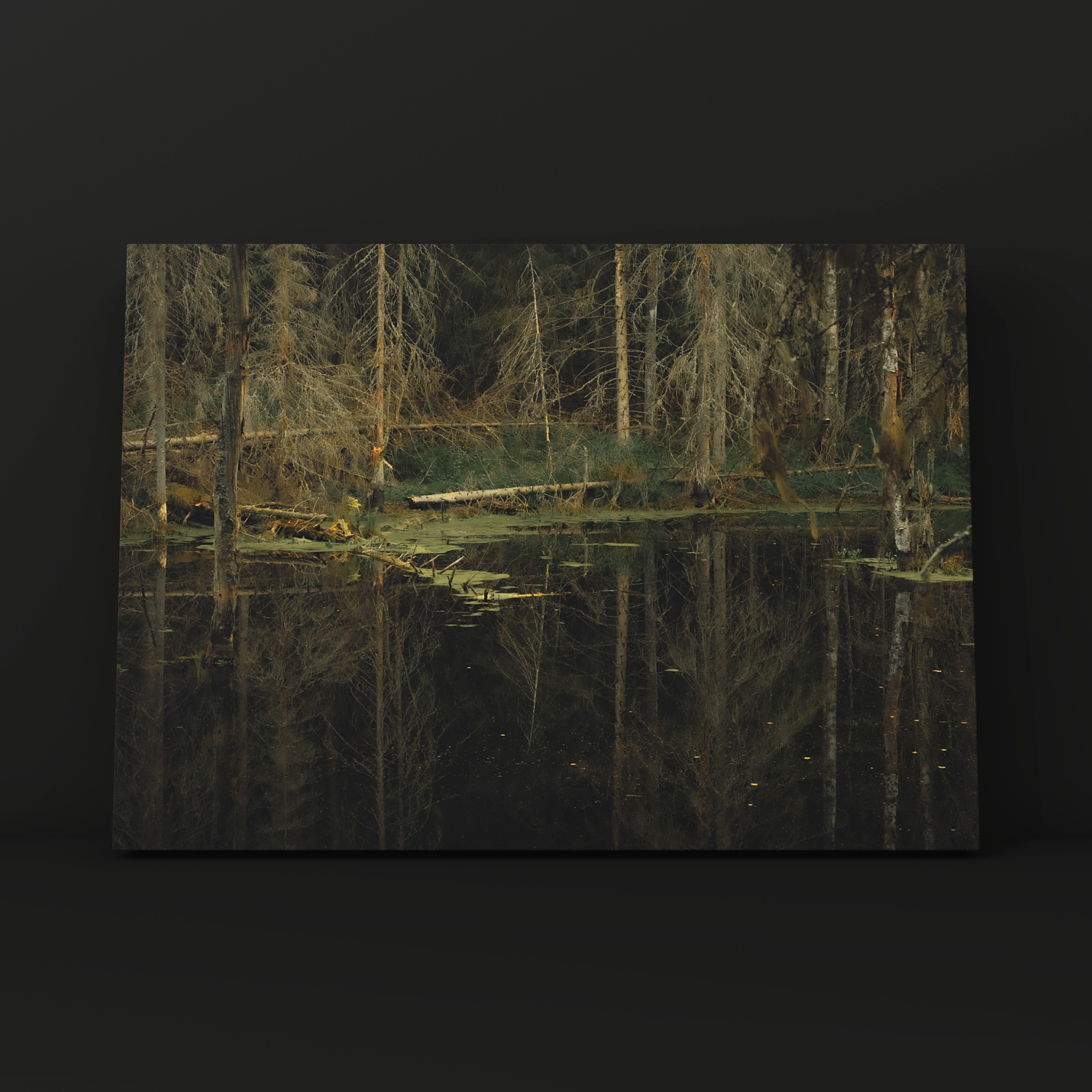 Кощеево озеро. Фотограф в Москве Сергей Коршунов