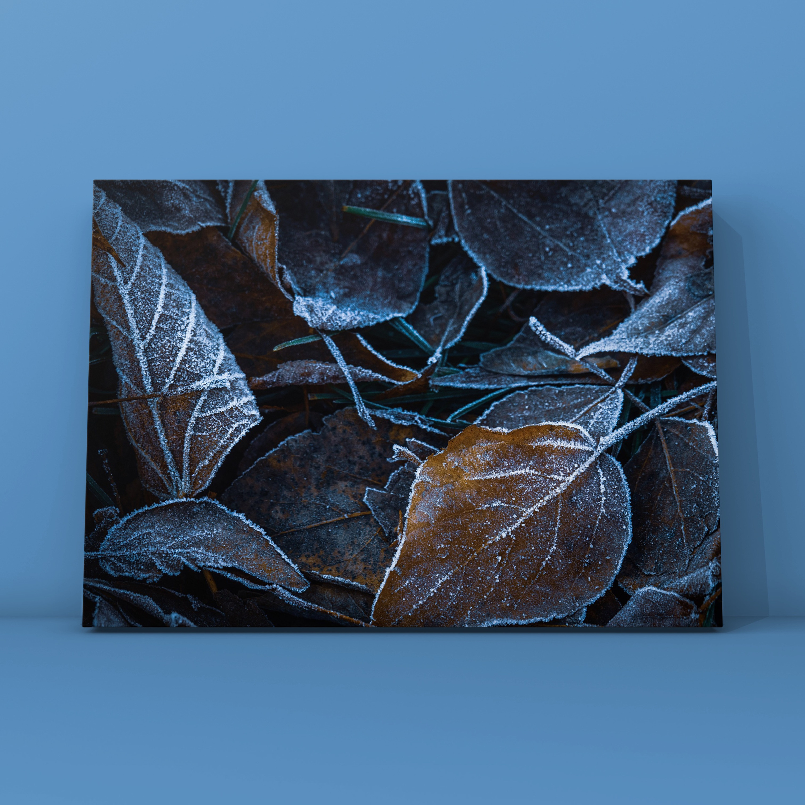 Природа и пейзаж. Фотограф в Москве Сергей Коршунов