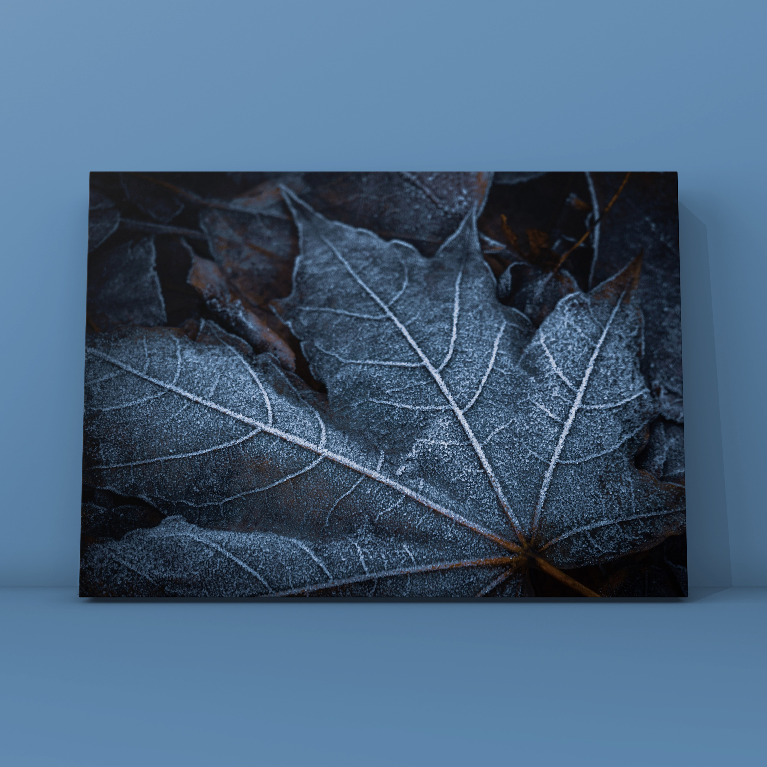 Первые заморозки кленовый лист. Фотограф в Москве Сергей Коршунов