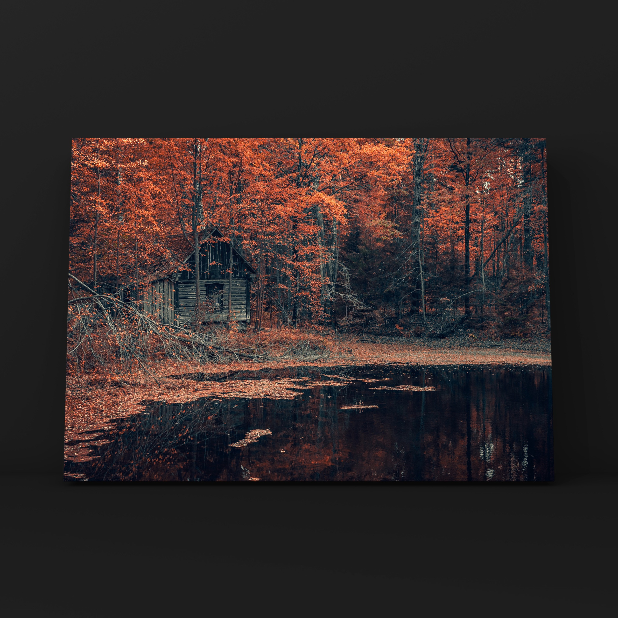 Избушка Бабы Яги. Фотограф в Москве Сергей Коршунов