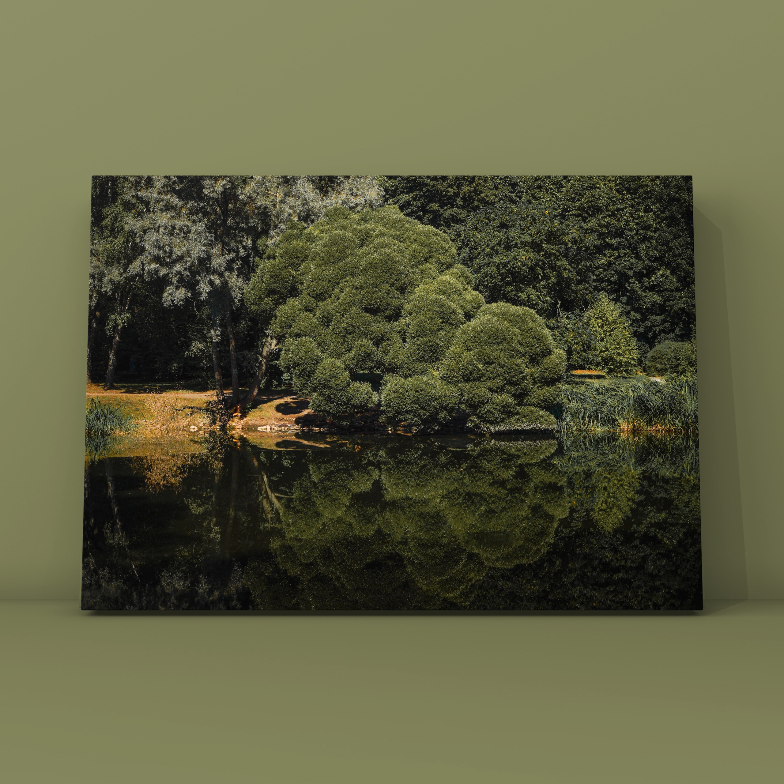 Природа и пейзаж. Фотограф в Москве Сергей Коршунов