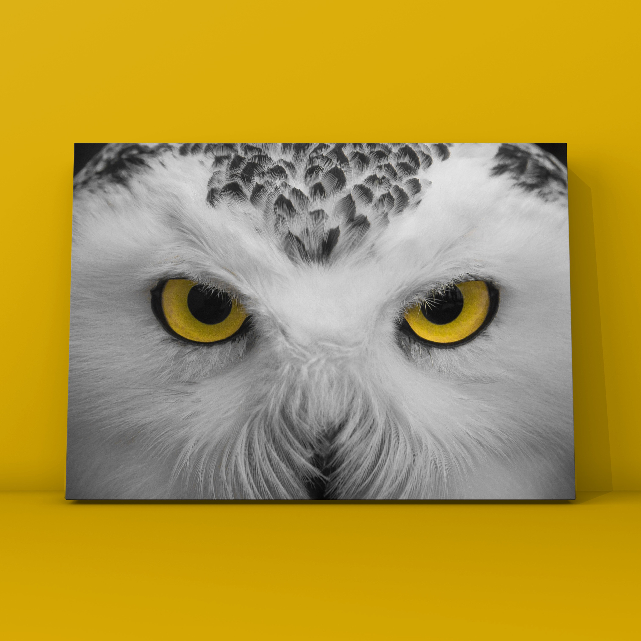 Природа и пейзаж. Фотограф в Москве Сергей Коршунов