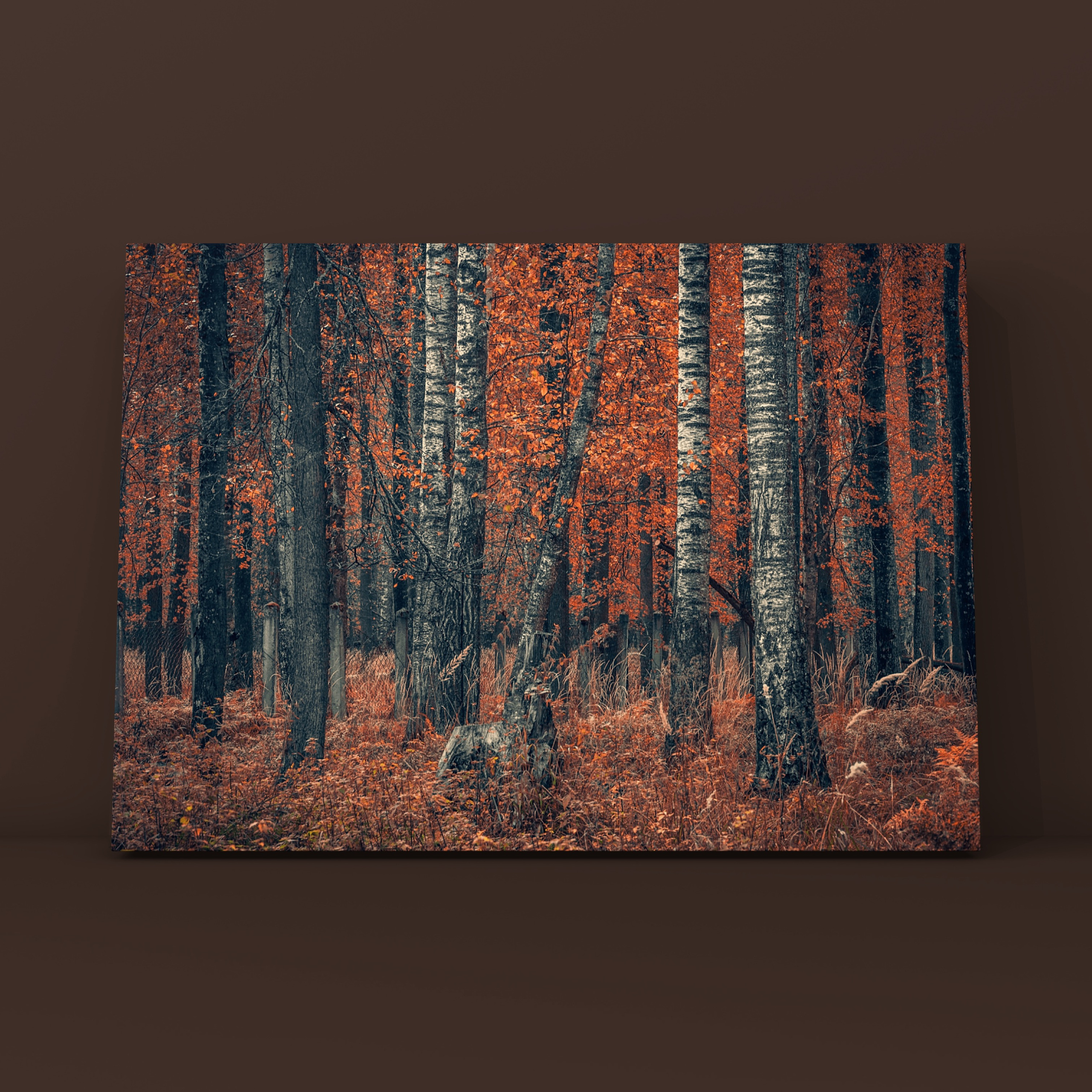 Природа и пейзаж. Фотограф в Москве Сергей Коршунов