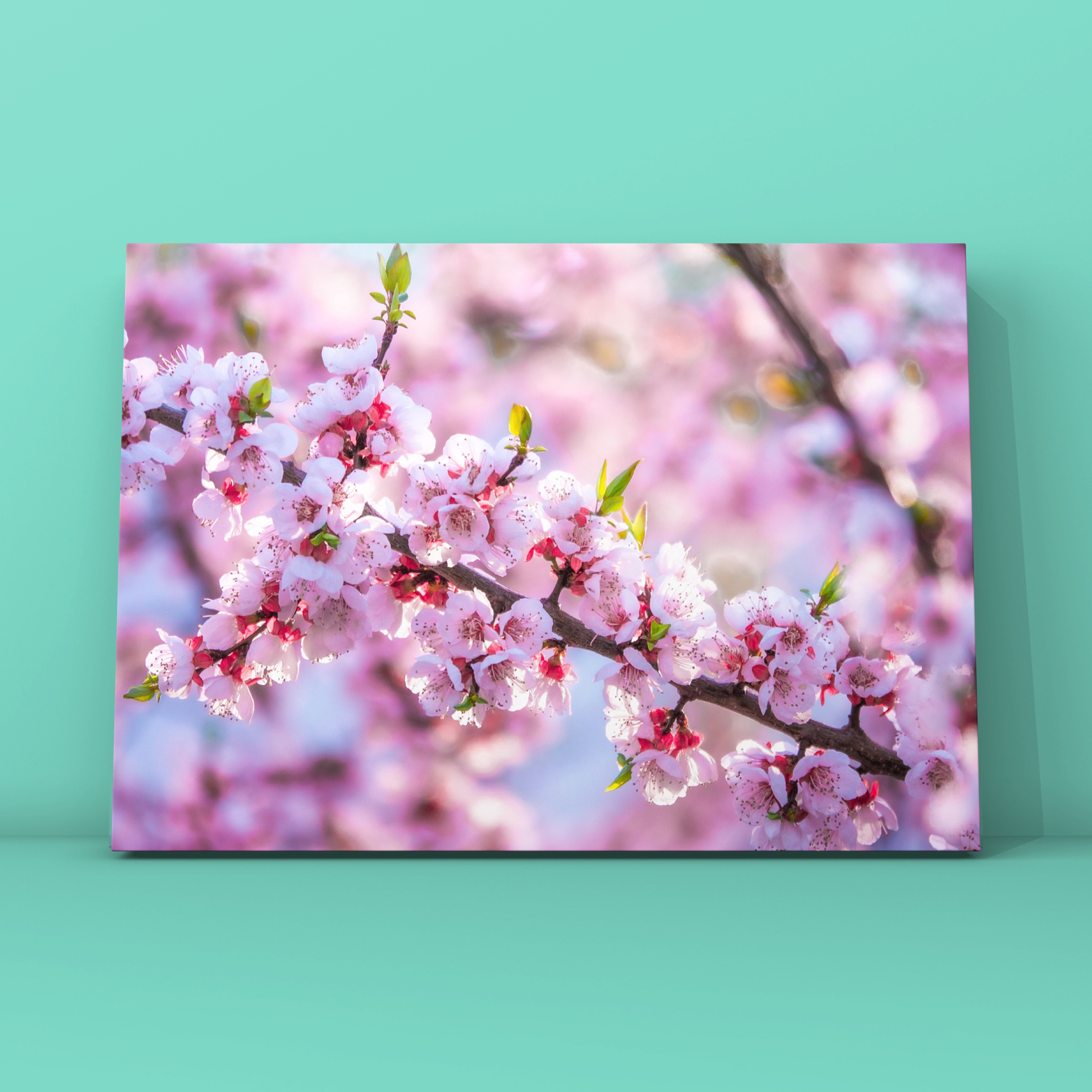 Природа и пейзаж. Фотограф в Москве Сергей Коршунов