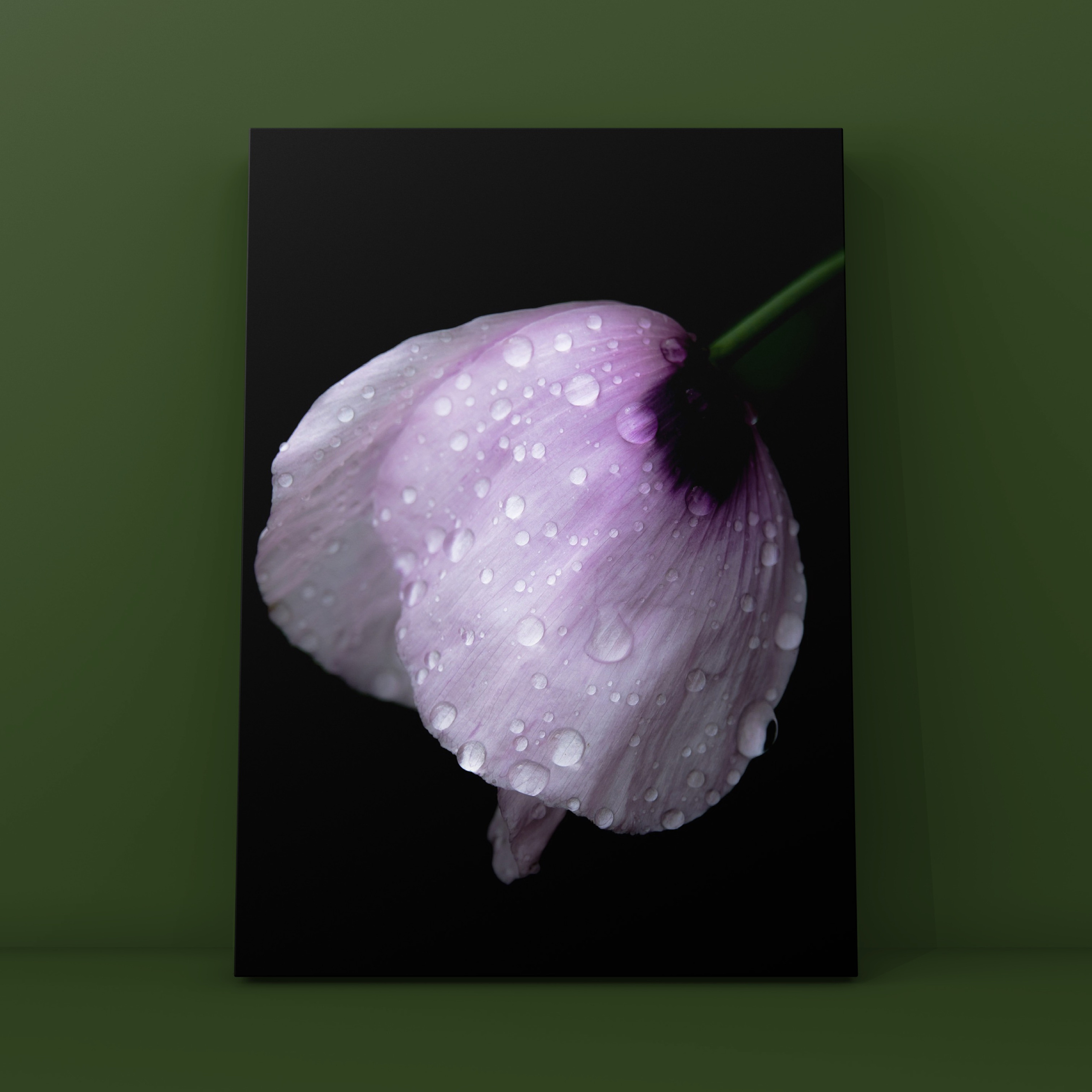 Цветок с каплями Китай-город. Фотограф в Москве Сергей Коршунов