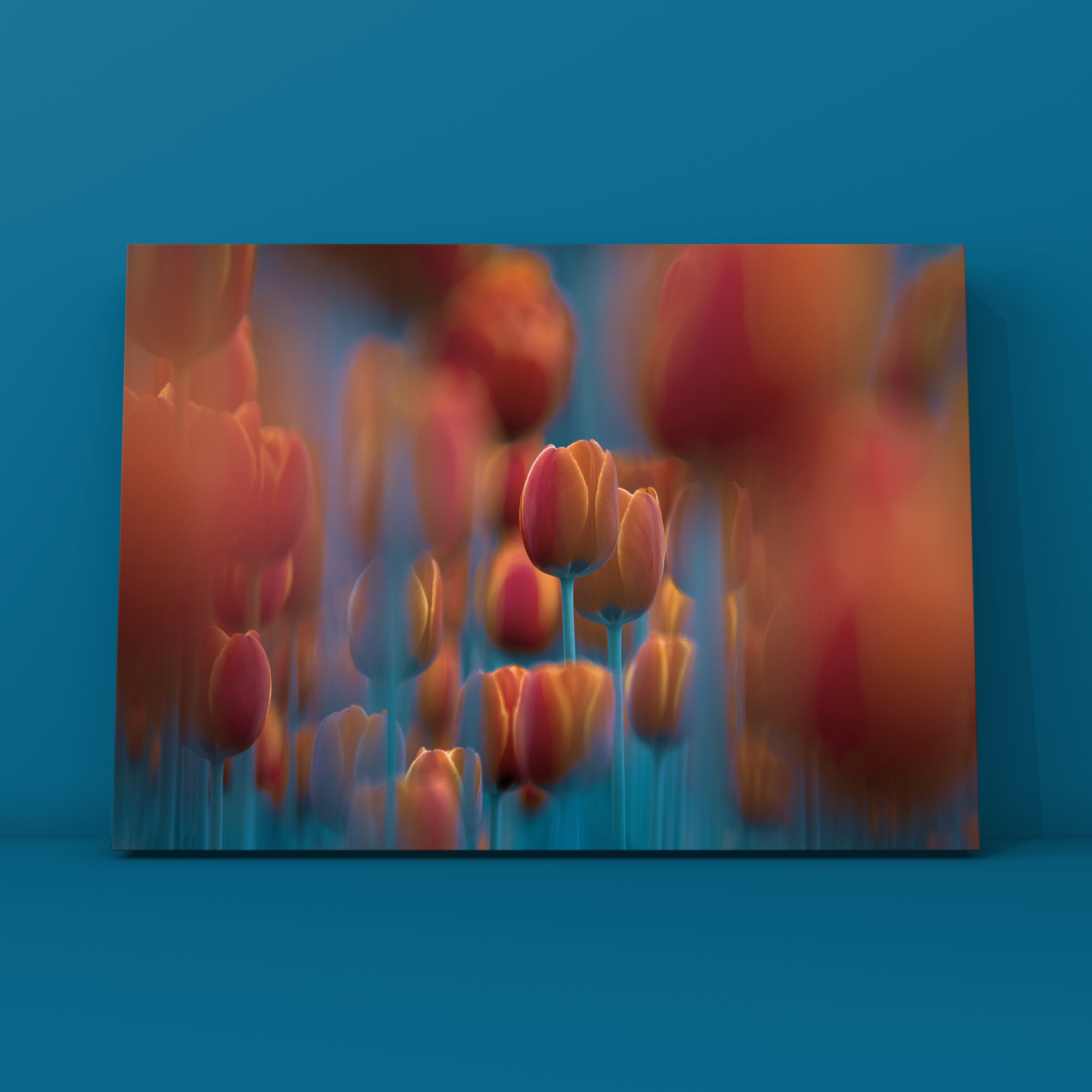 Природа и пейзаж. Фотограф в Москве Сергей Коршунов