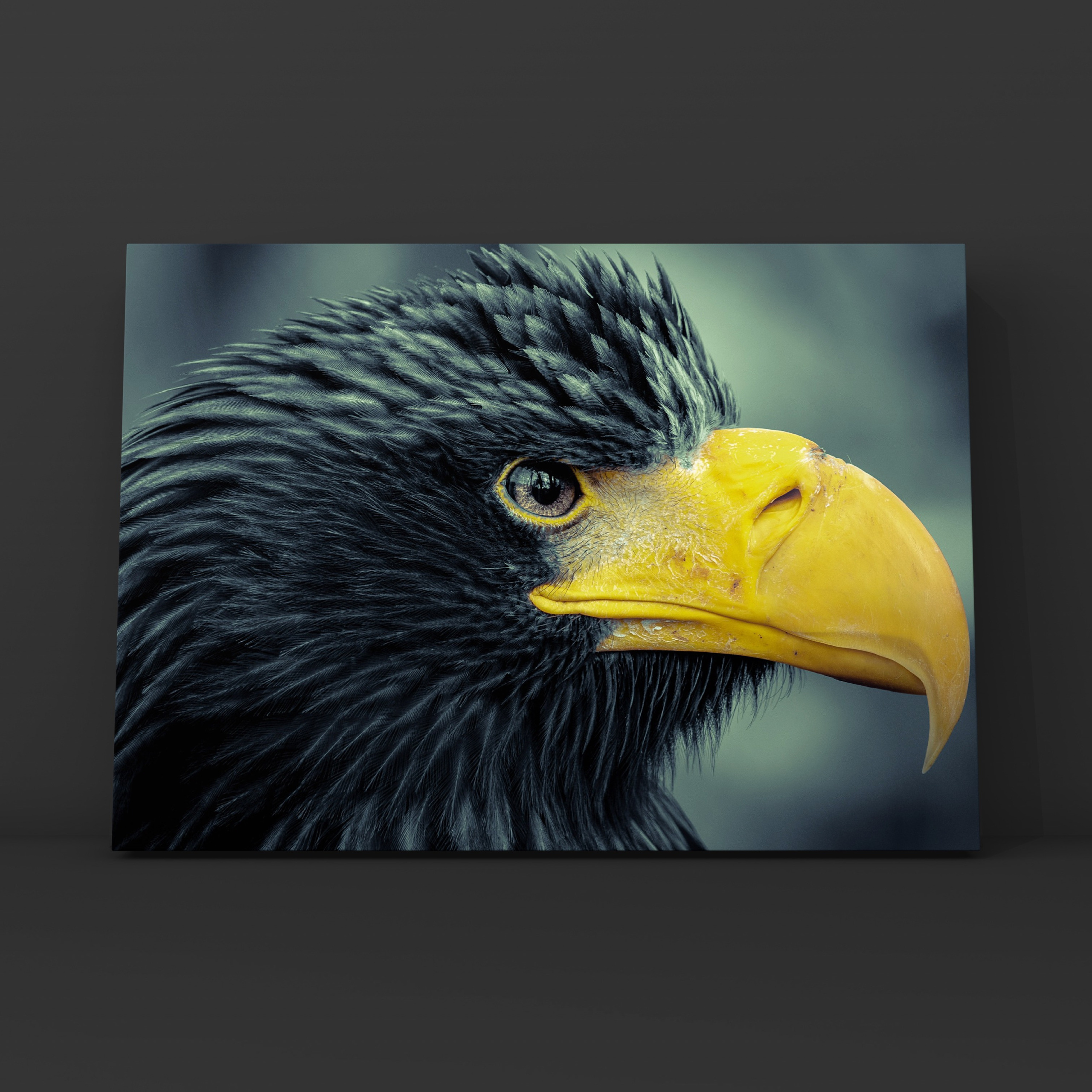 Орлан. Фотограф в Москве Сергей Коршунов