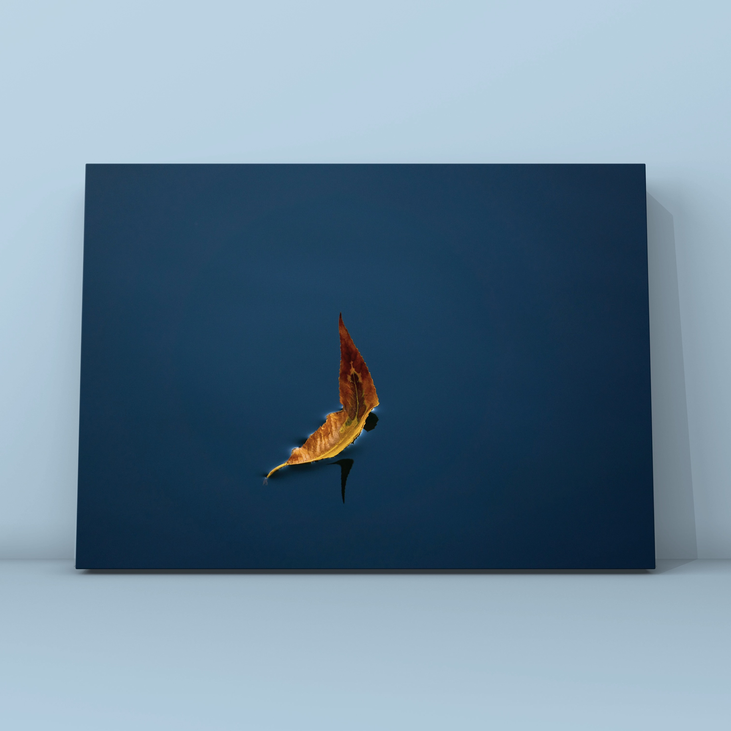 Одинокий жёлтый лист на воде. Фотограф в Москве Сергей Коршунов