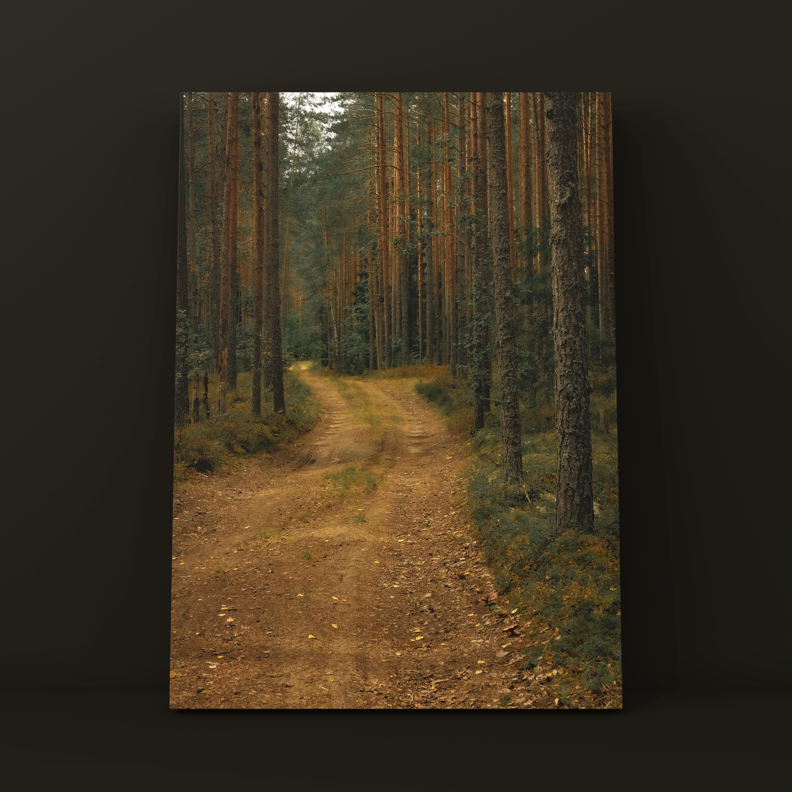 Карелия тропа в лесу. Фотограф в Москве Сергей Коршунов