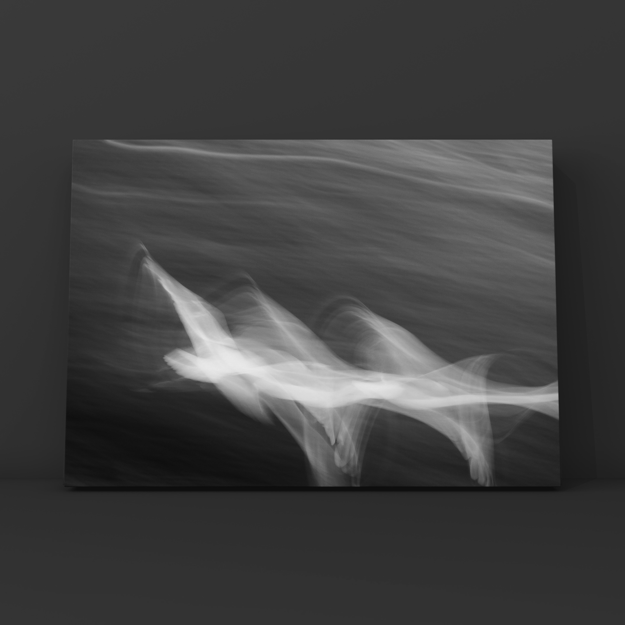 Абстракция. Фотограф в Москве Сергей Коршунов