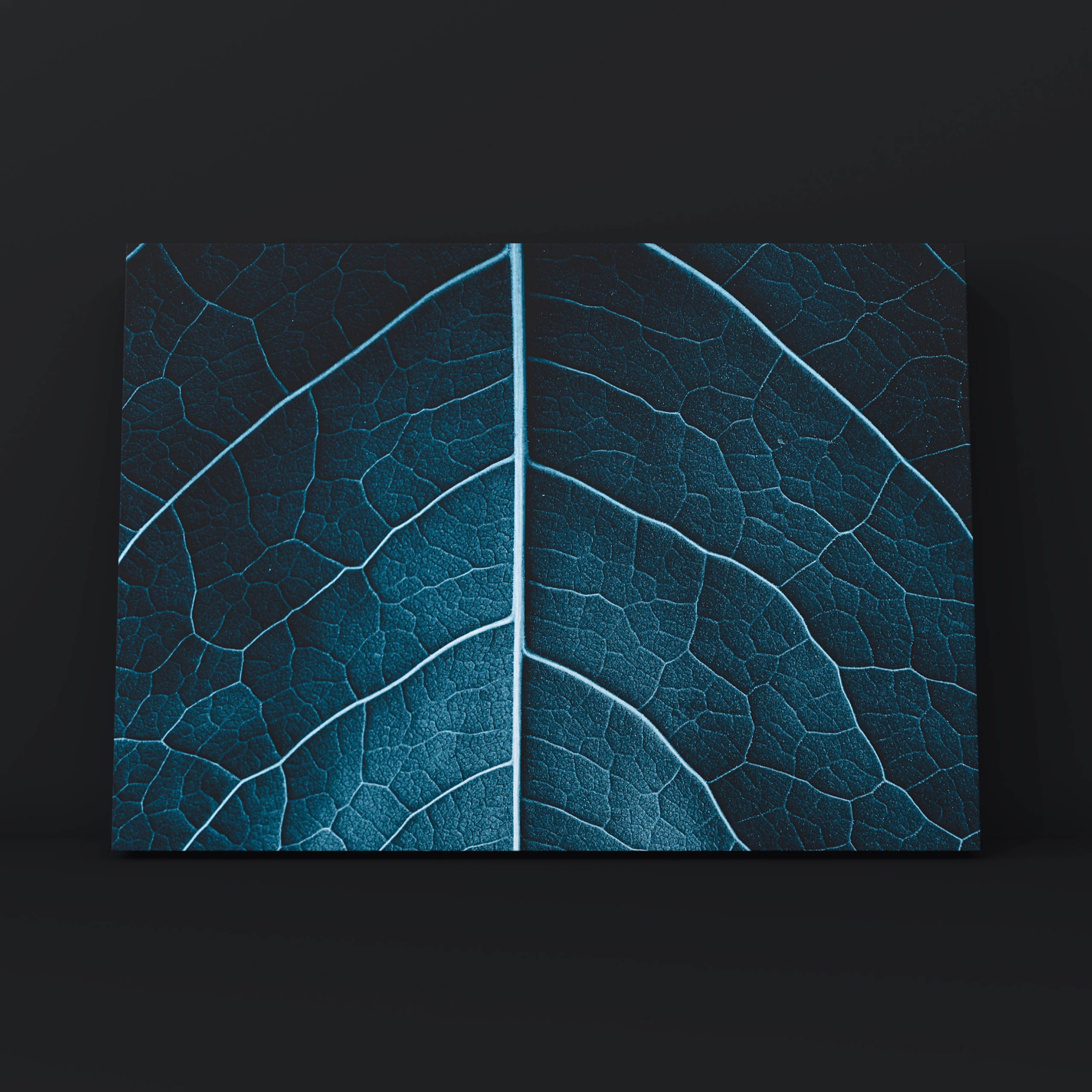 Абстракция. Фотограф в Москве Сергей Коршунов