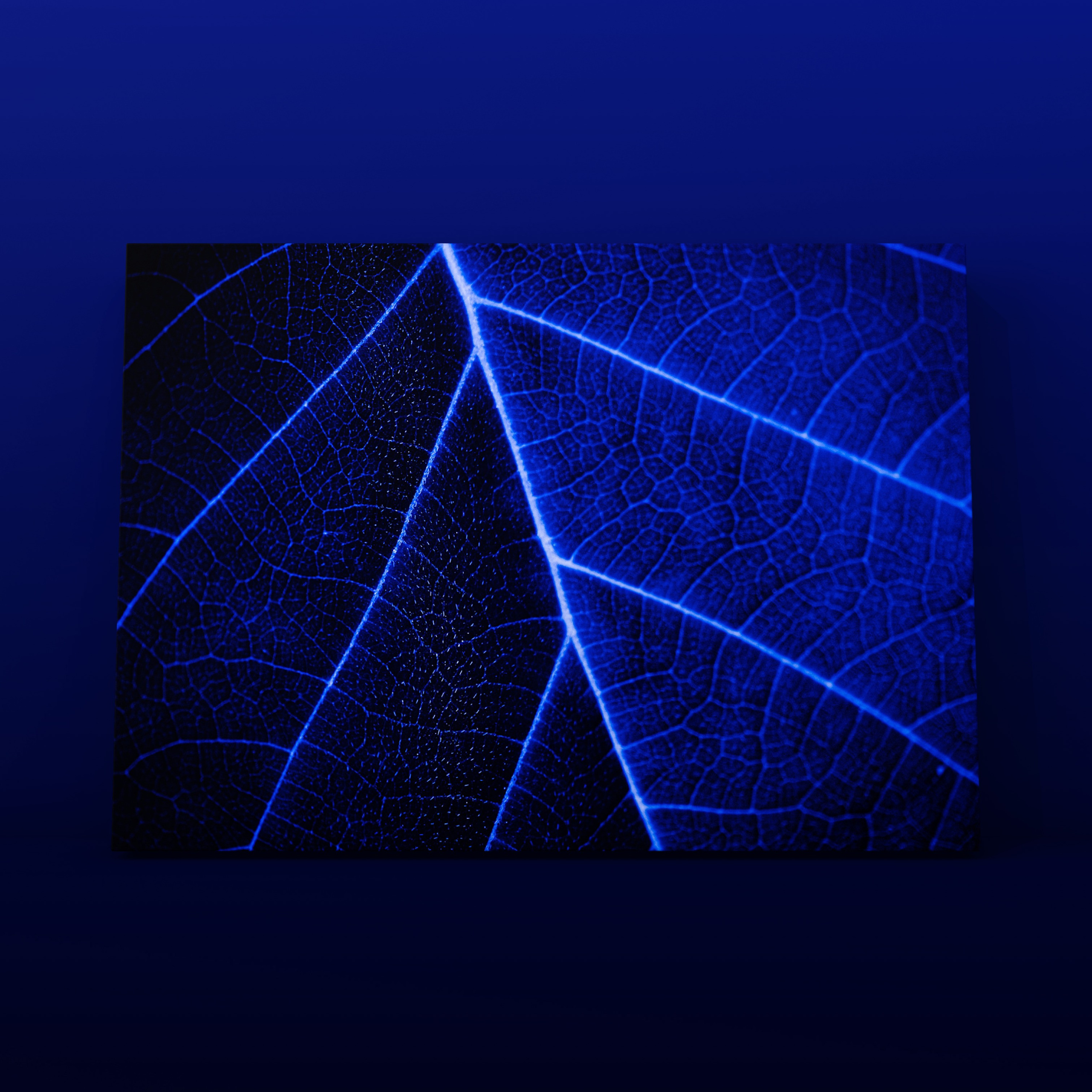 Лист 9. Фотограф в Москве Сергей Коршунов