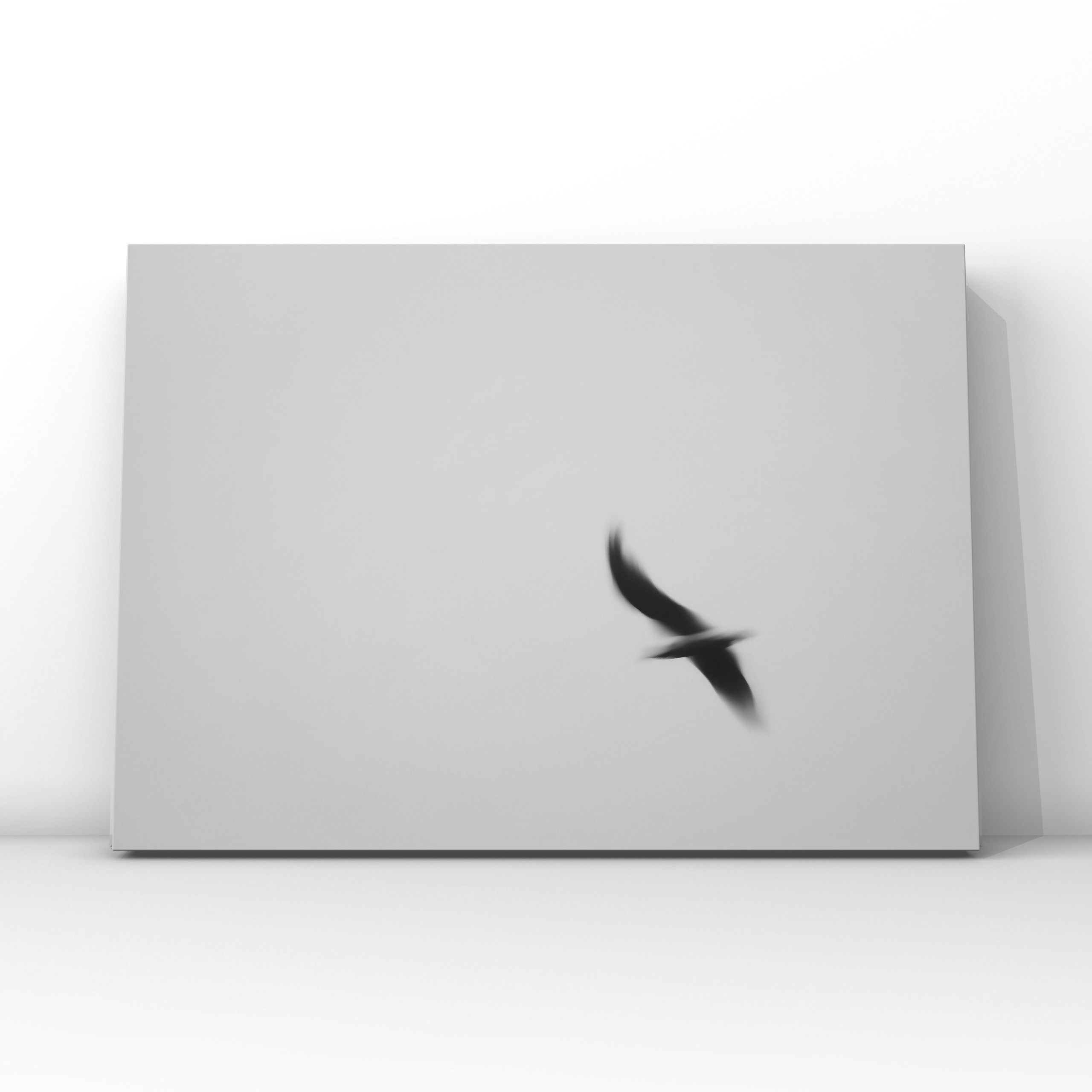 Абстракция. Фотограф в Москве Сергей Коршунов