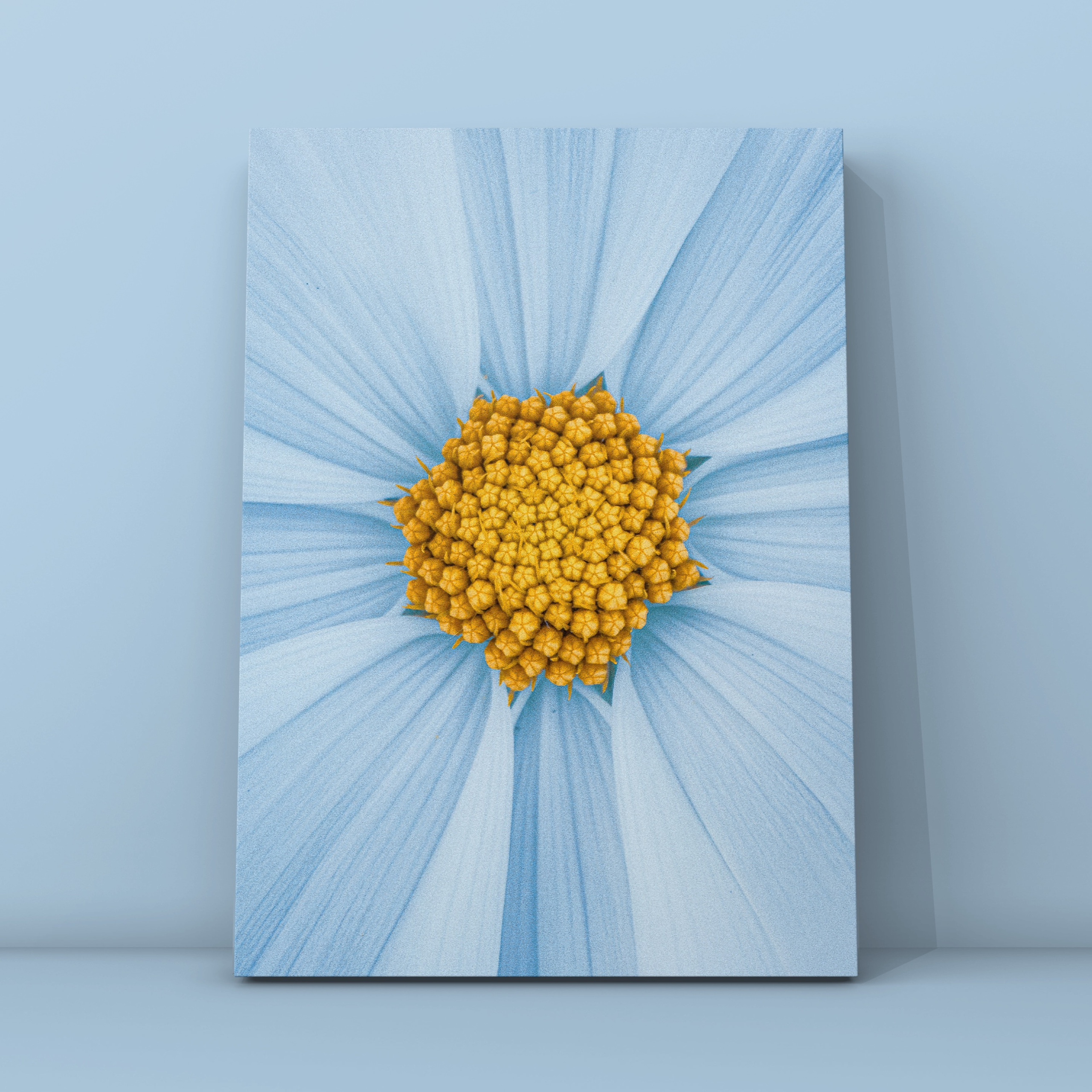 Абстракция. Фотограф в Москве Сергей Коршунов