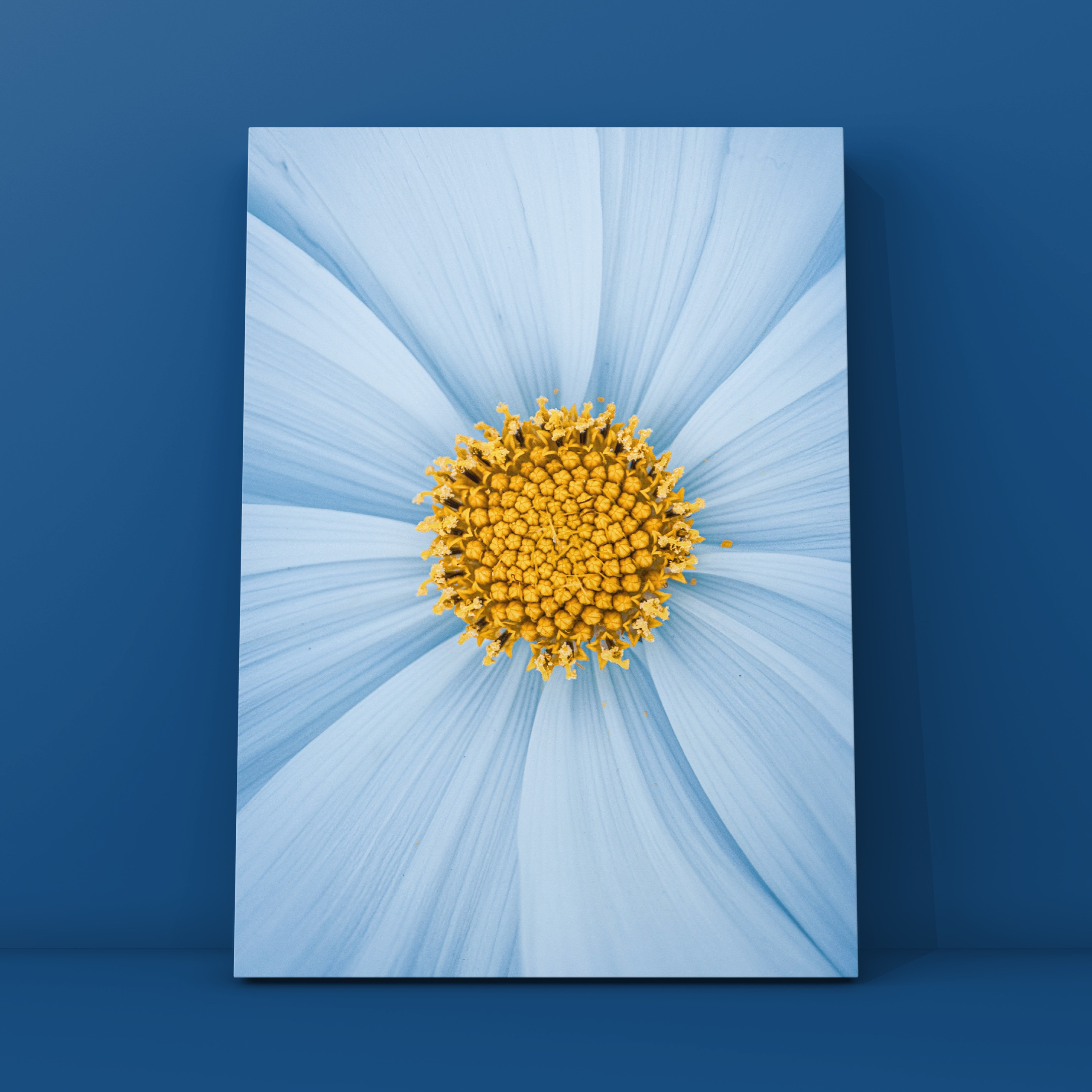 Абстракция. Фотограф в Москве Сергей Коршунов