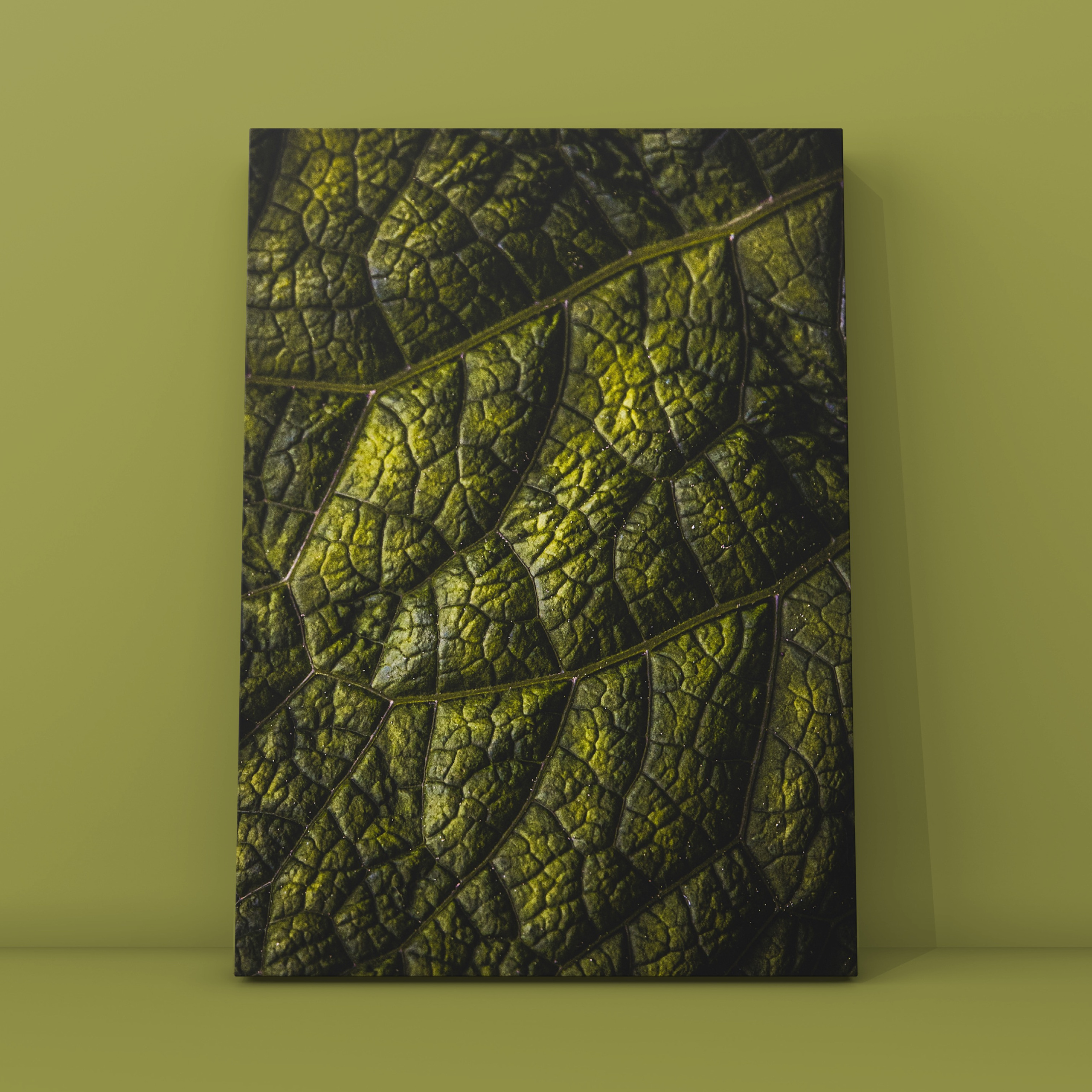 Абстракция. Фотограф в Москве Сергей Коршунов