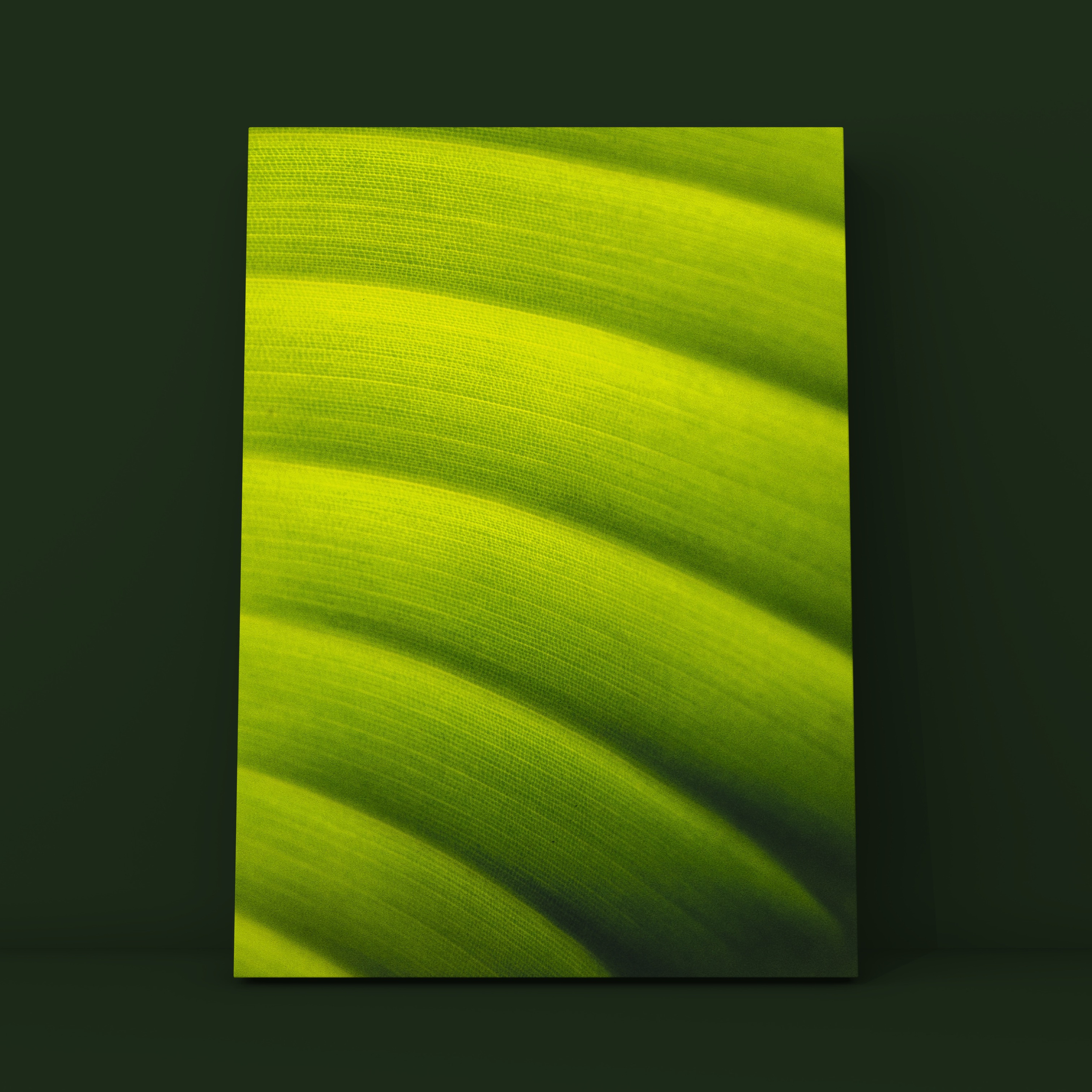 Лист 17. Фотограф в Москве Сергей Коршунов