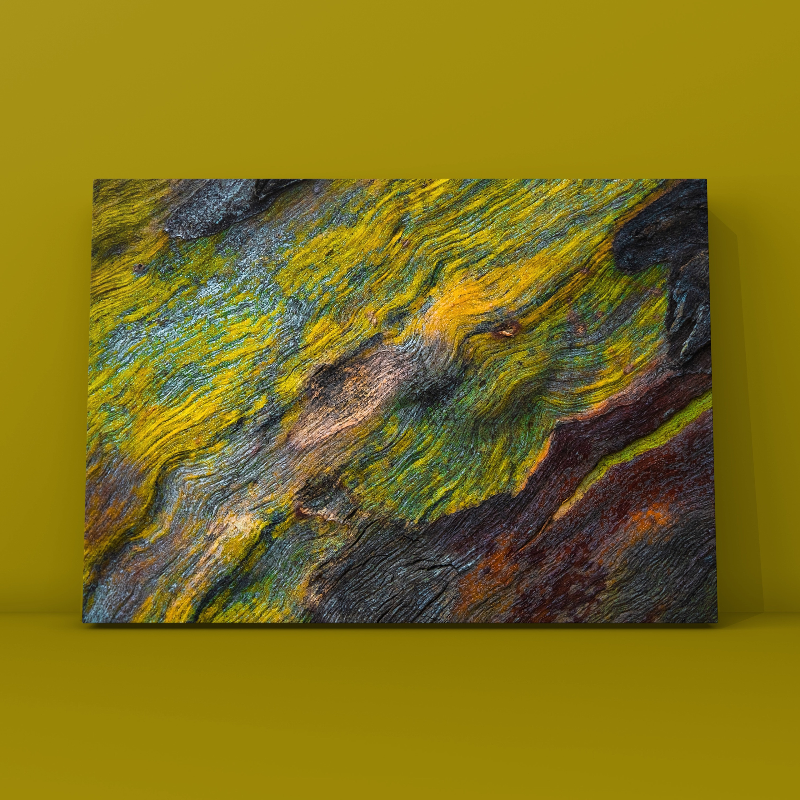 Абстракция. Фотограф в Москве Сергей Коршунов