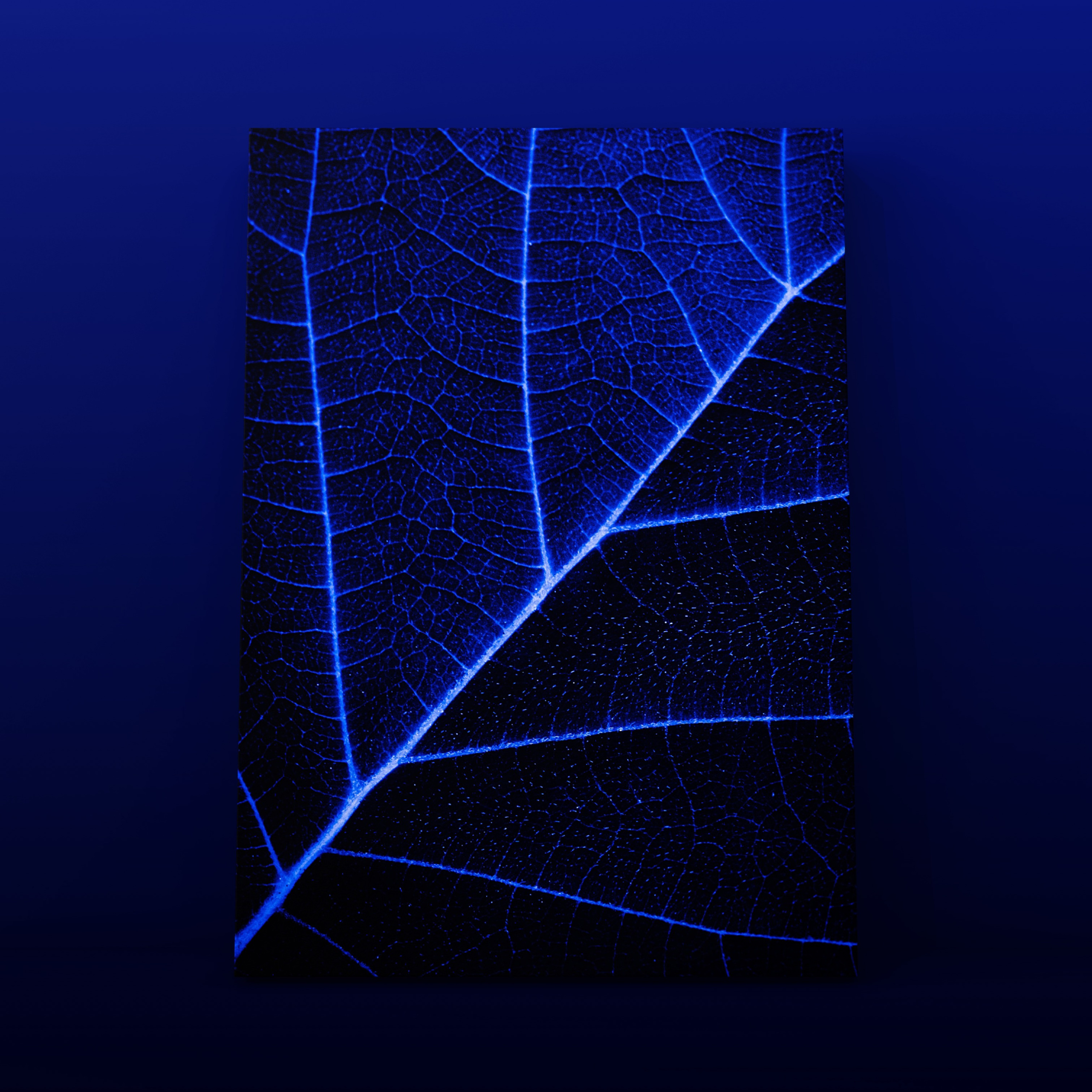 Абстракция. Фотограф в Москве Сергей Коршунов