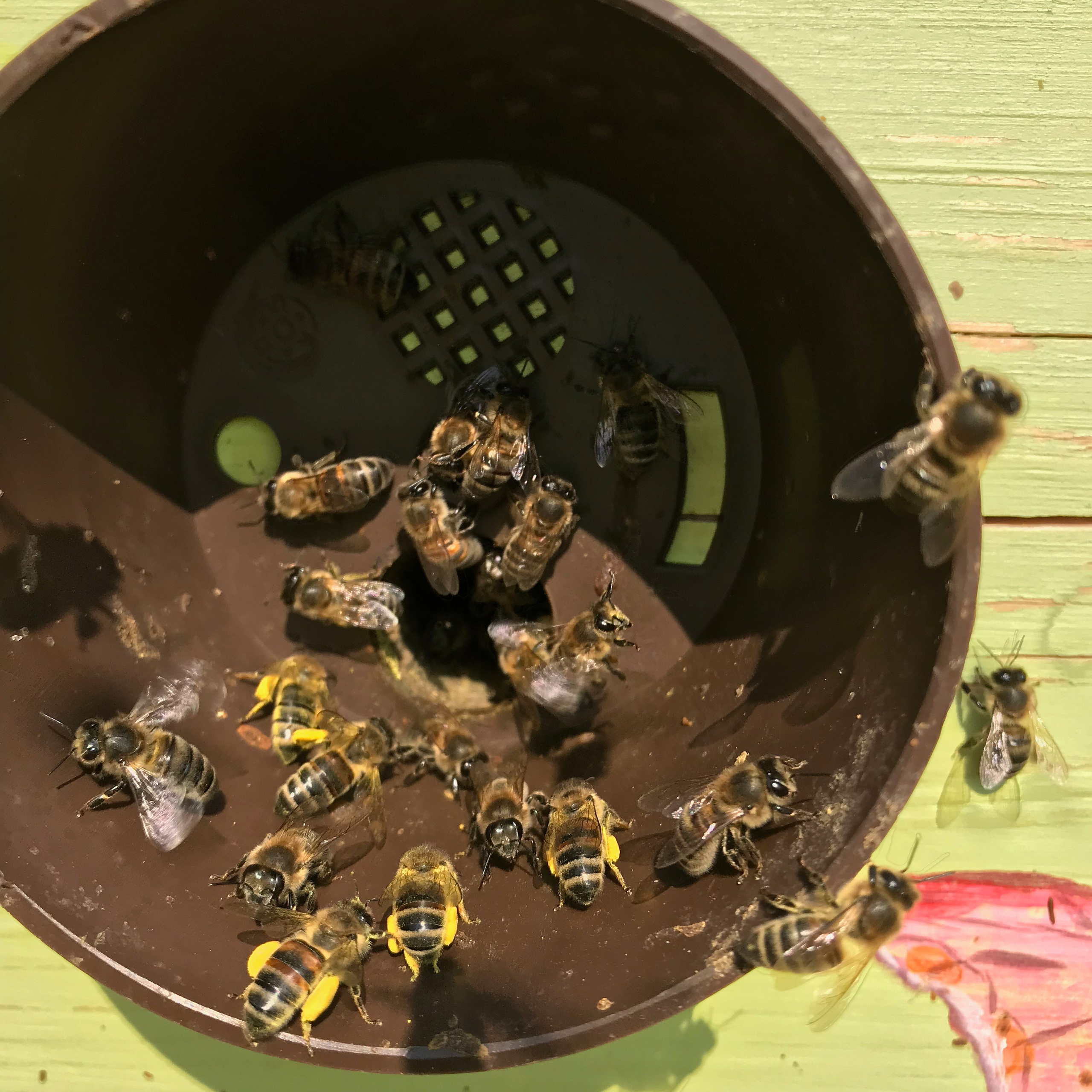 Вся природа оживает. Эко отдых в Подмосковье в эко-отеле Марии Гиппенрейтер