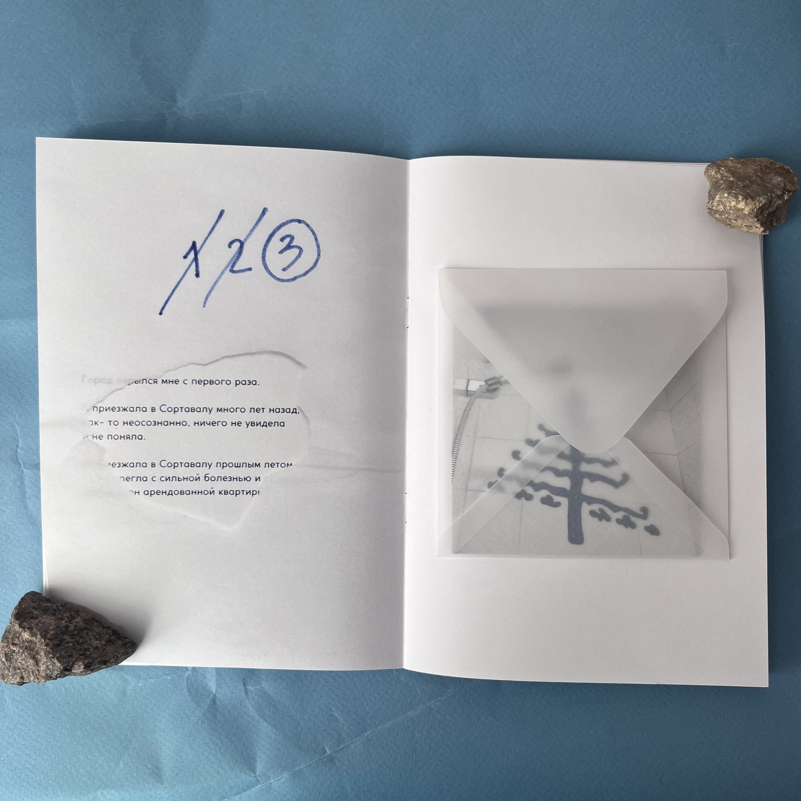 Предоставить пустоту — зин про Сортавалу. Маша Иванова —