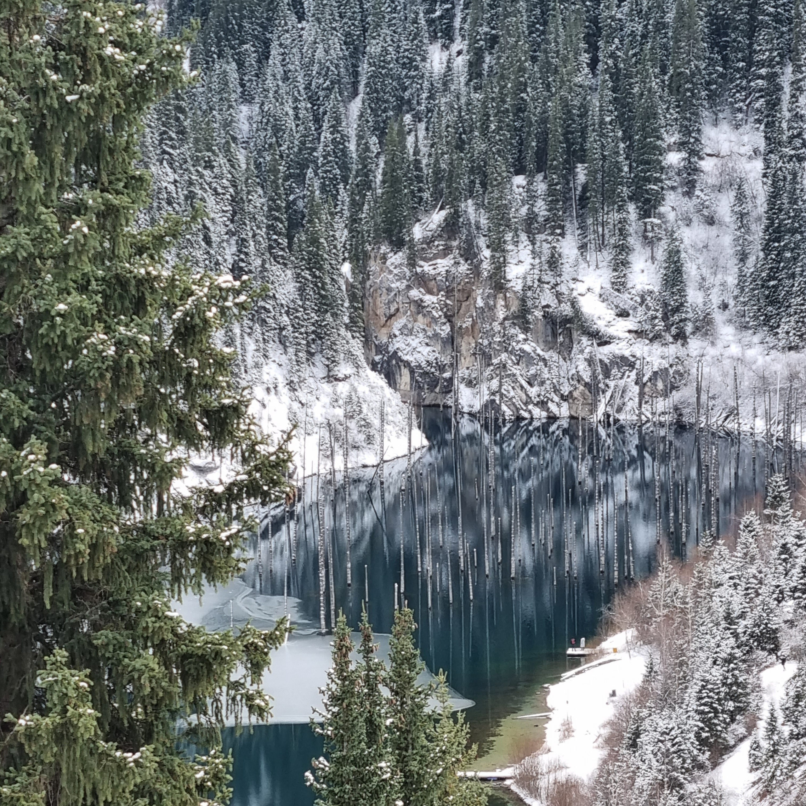 Живописное озеро Каинды недалеко от Алматы в Казахстане, окружённое густым лесом хвойных деревьев, покрытых снегом. Вода озера тёмно-синего цвета с торчащими из неё голыми стволами деревьев, создающими мистическую атмосферу. На заднем плане видна скалистая стена, подчёркивающая природную красоту и уединённость этого места. Снег добавляет ощущение зимней сказки, а зелёные ветви на переднем плане усиливают контраст с белоснежным пейзажем.