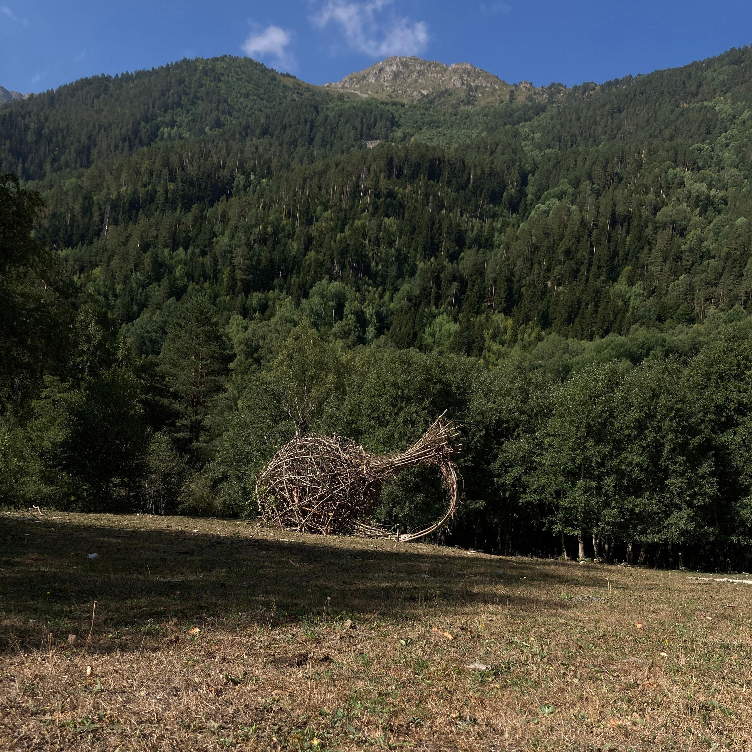 заказать необычный ленд арт в Москве и в России 